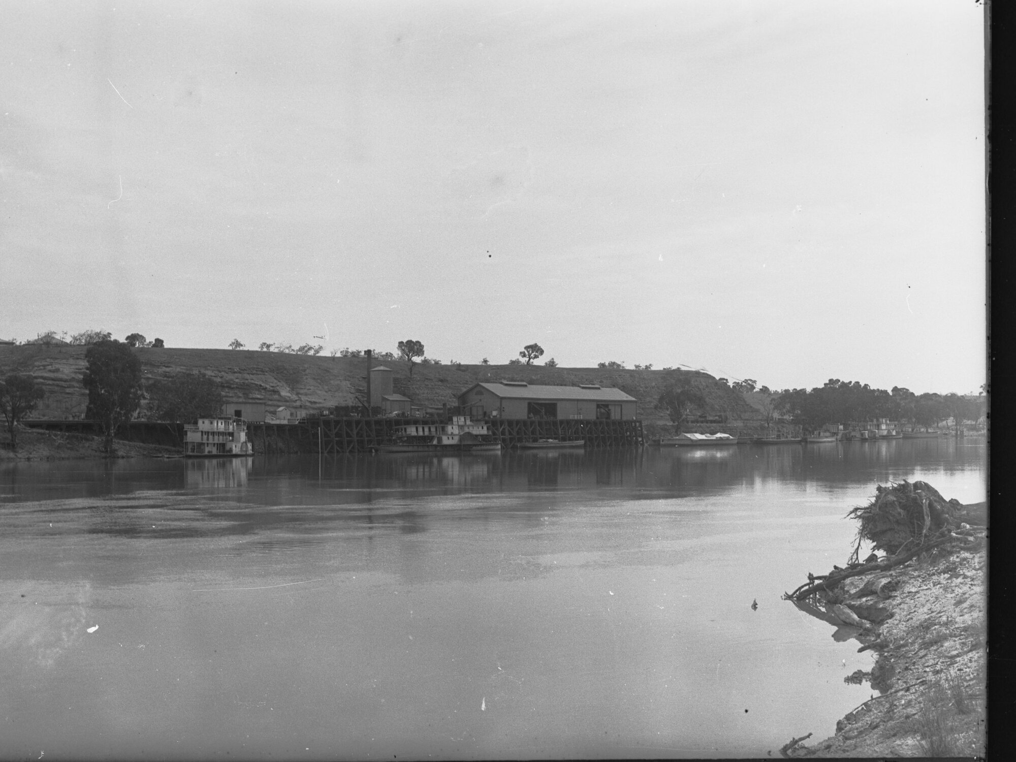 Murray River Paddlesteamers