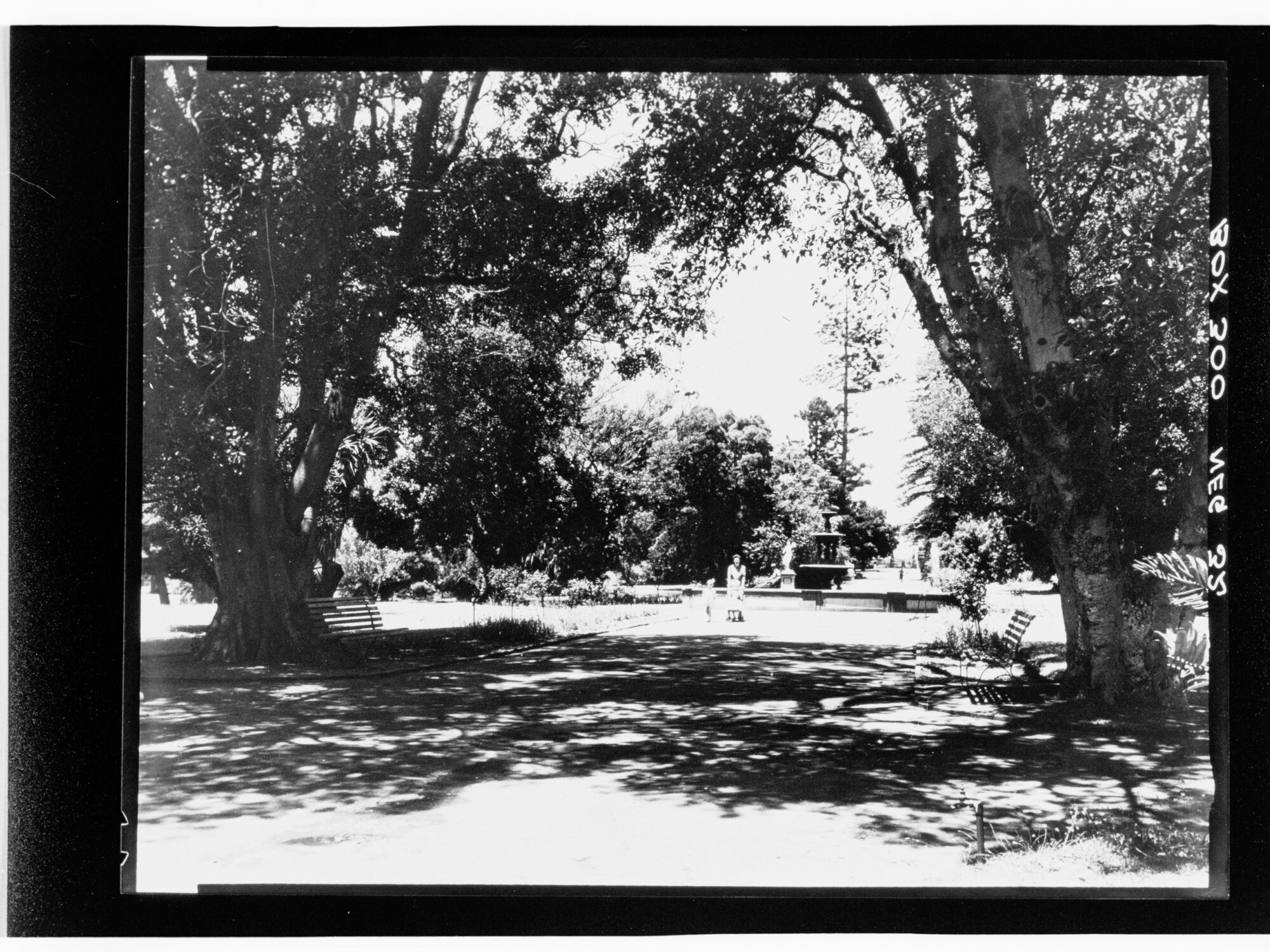 Botanical Gardens