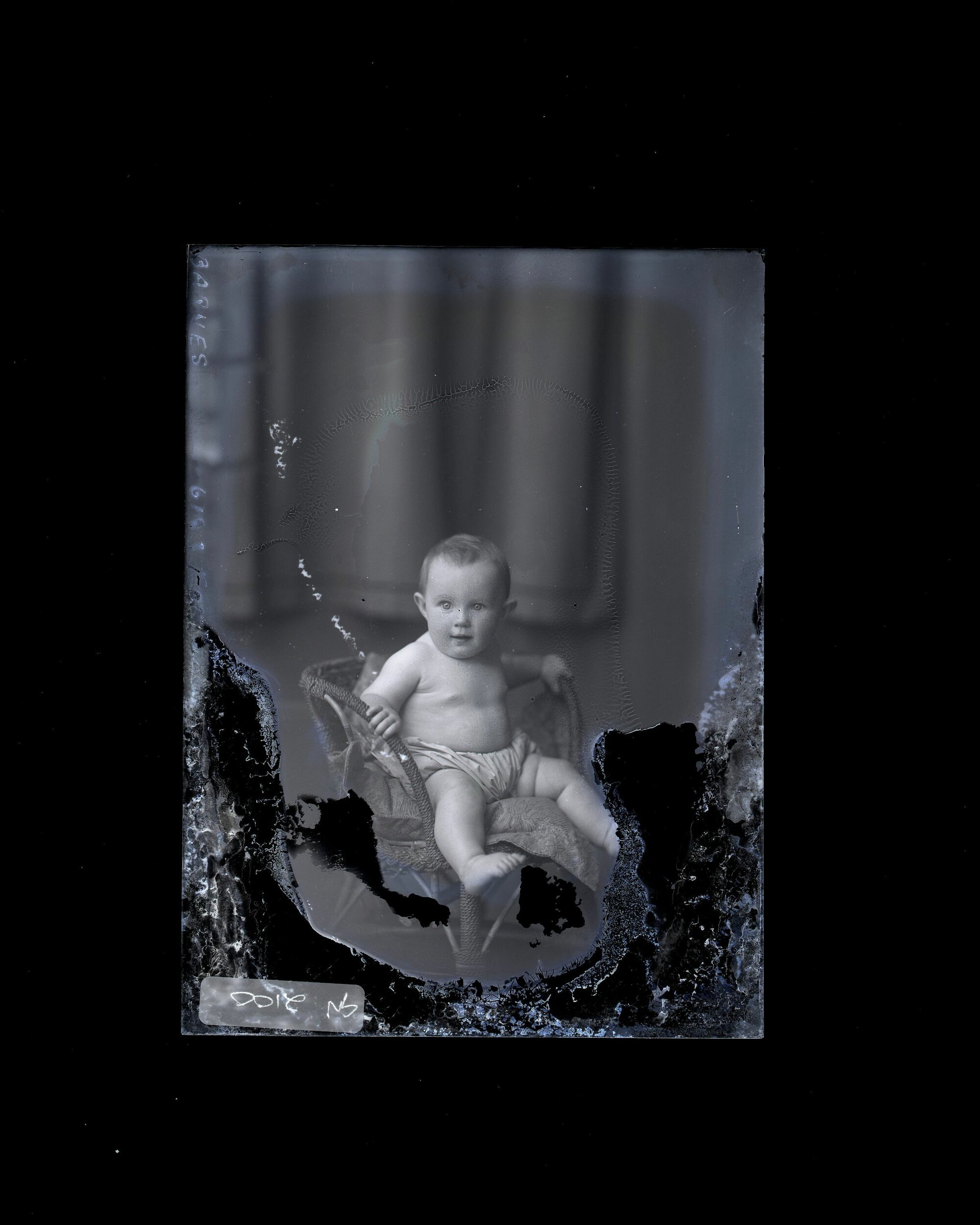 Infant - Barnes