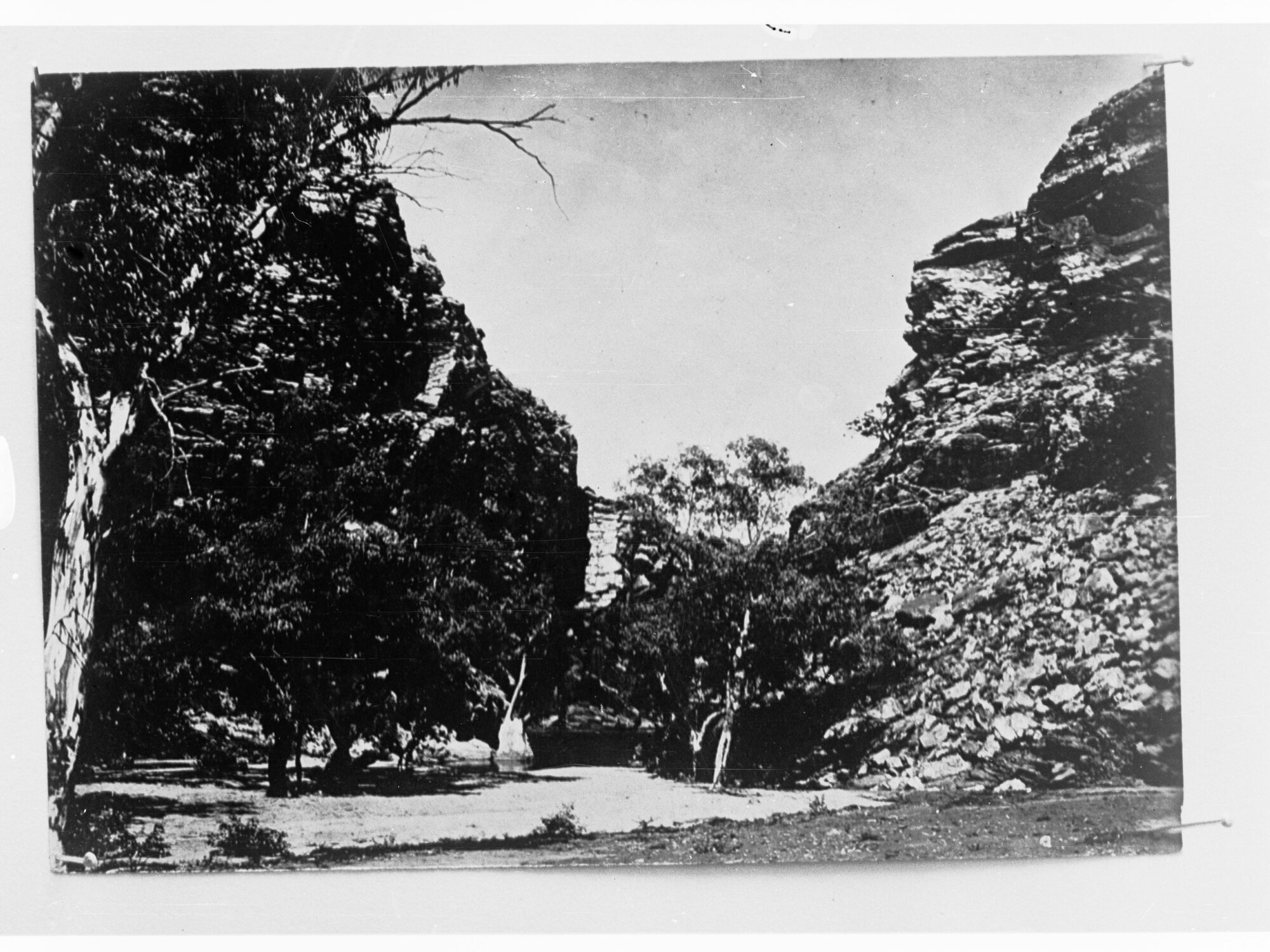 Northern Territory - scene of a rocky gorge and trees