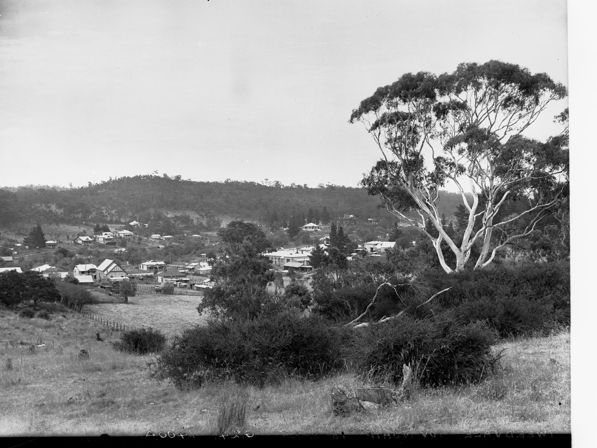 Tweedvale (Lobethal) Township