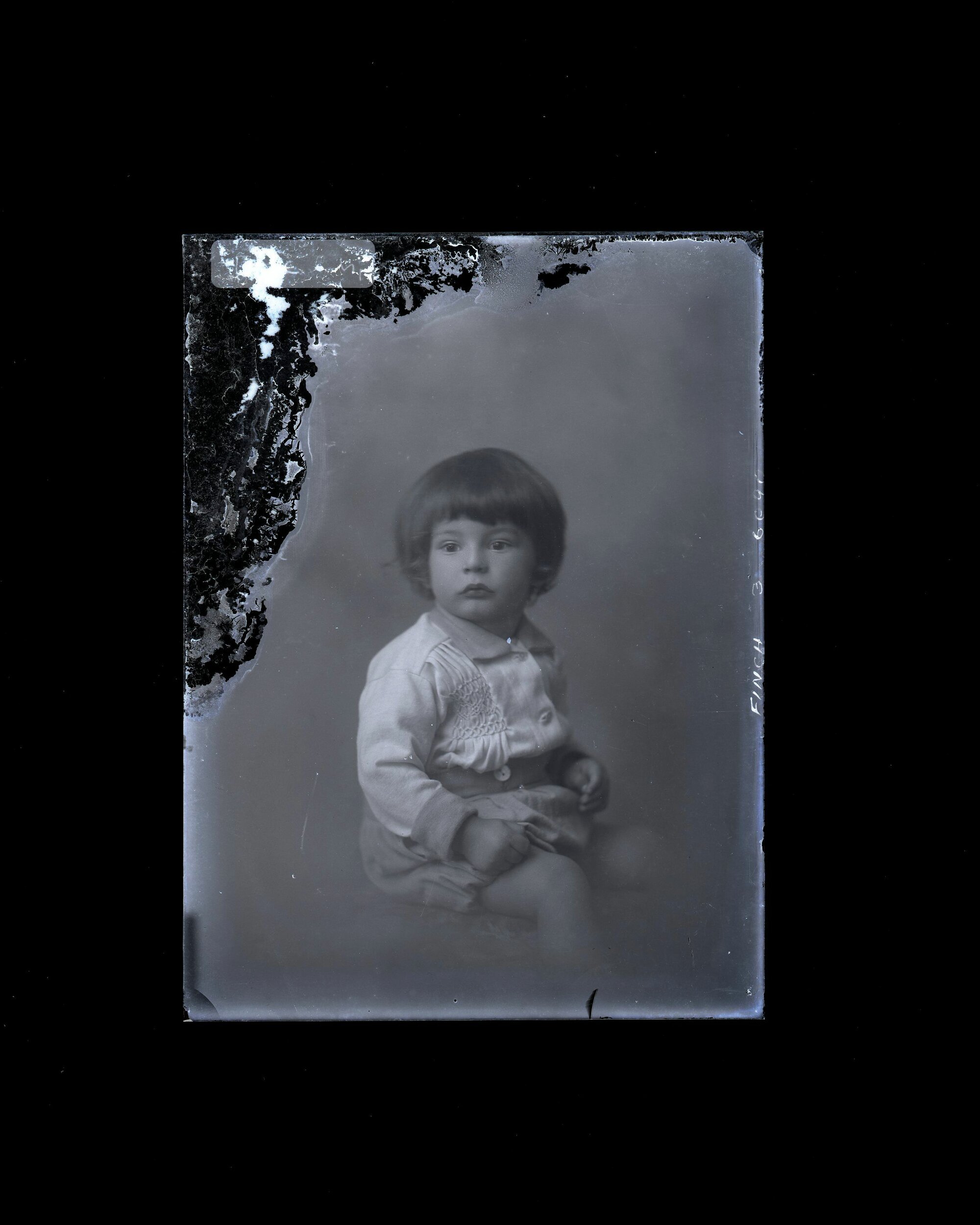 Child - Finch