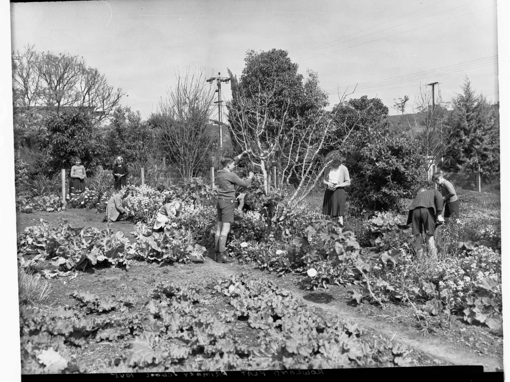 Students in Garden at Rowland Flat Primary School