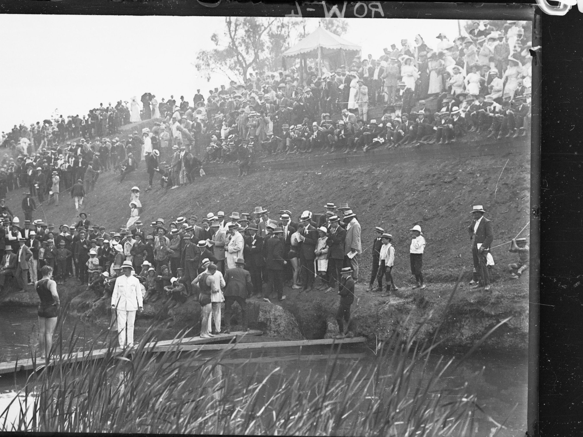 Swimming Race, River Torrens