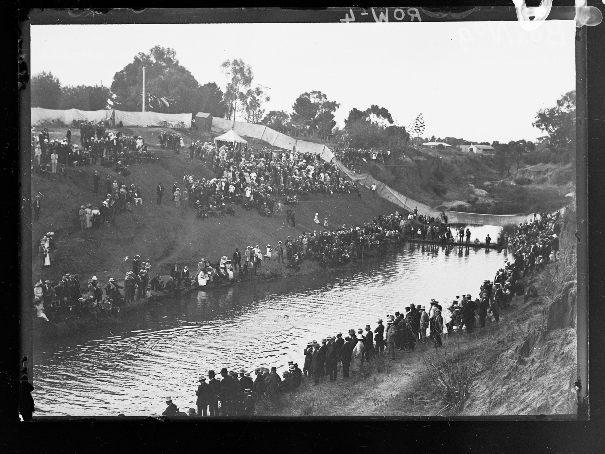 Swimming Race, River Torrens