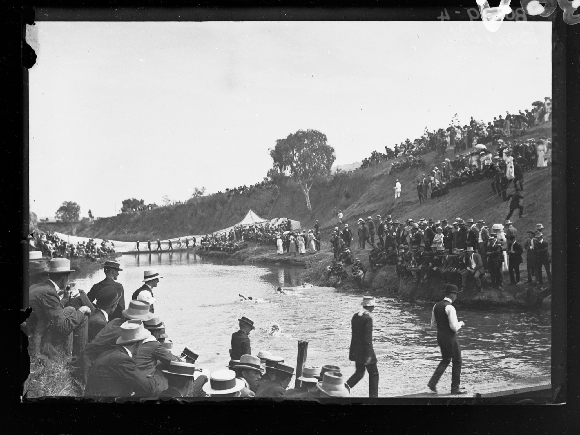 Swimming Race, River Torrens
