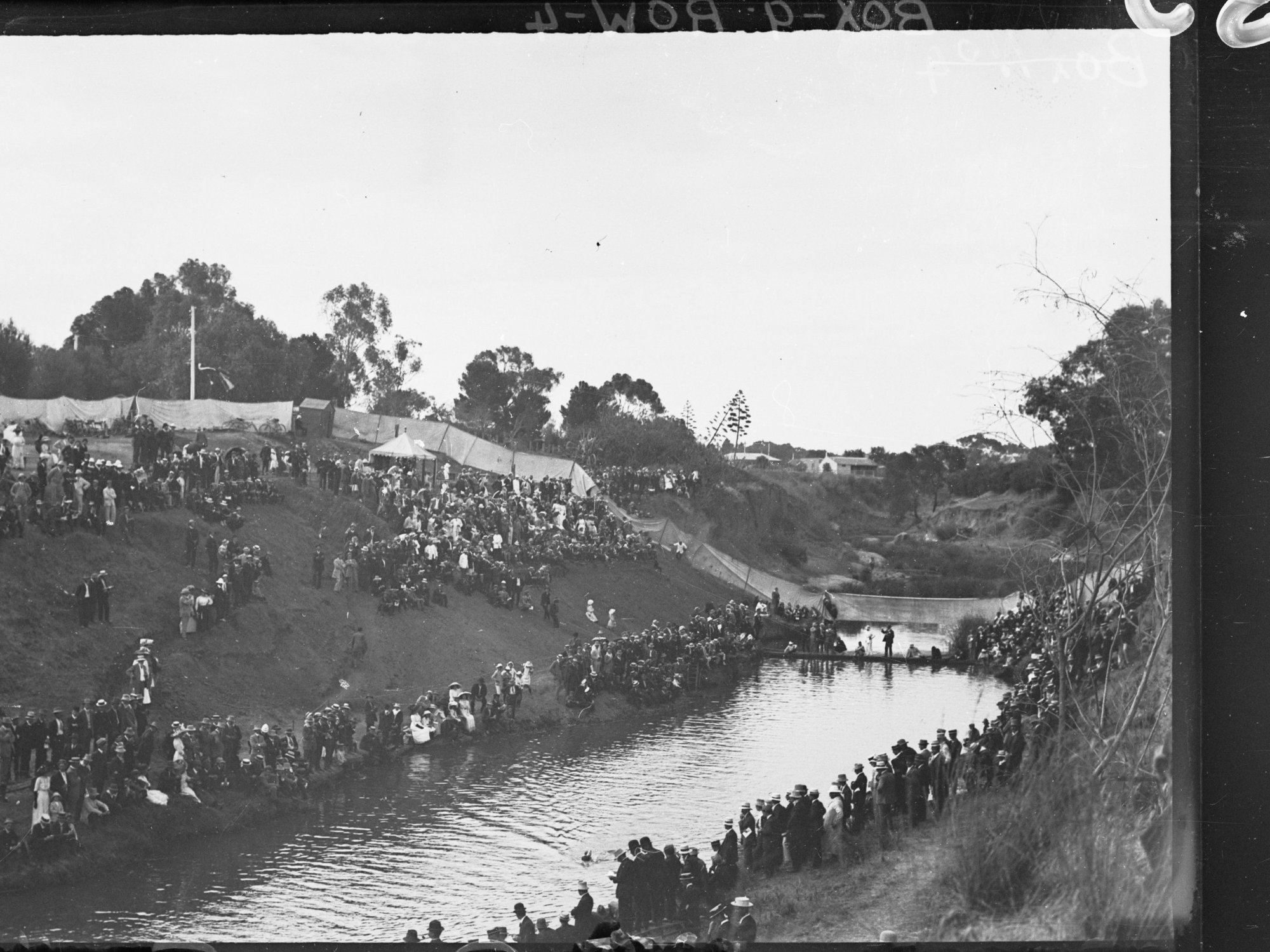 Swimming Race, River Torrens