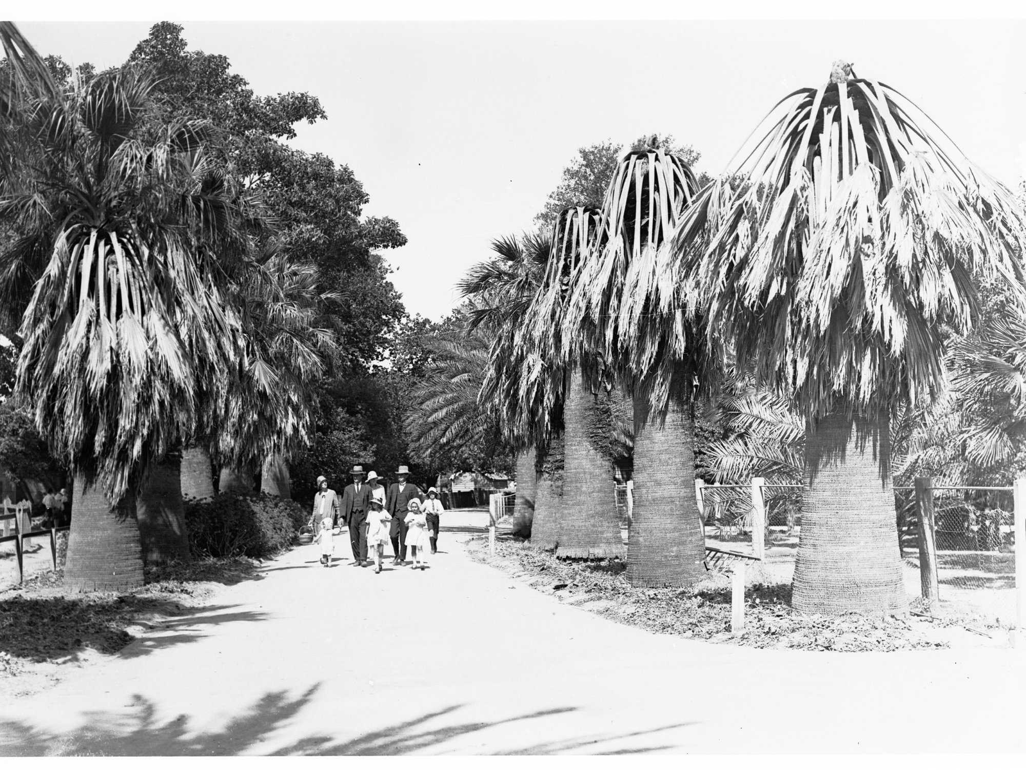 Family at the Adelaide Zoo