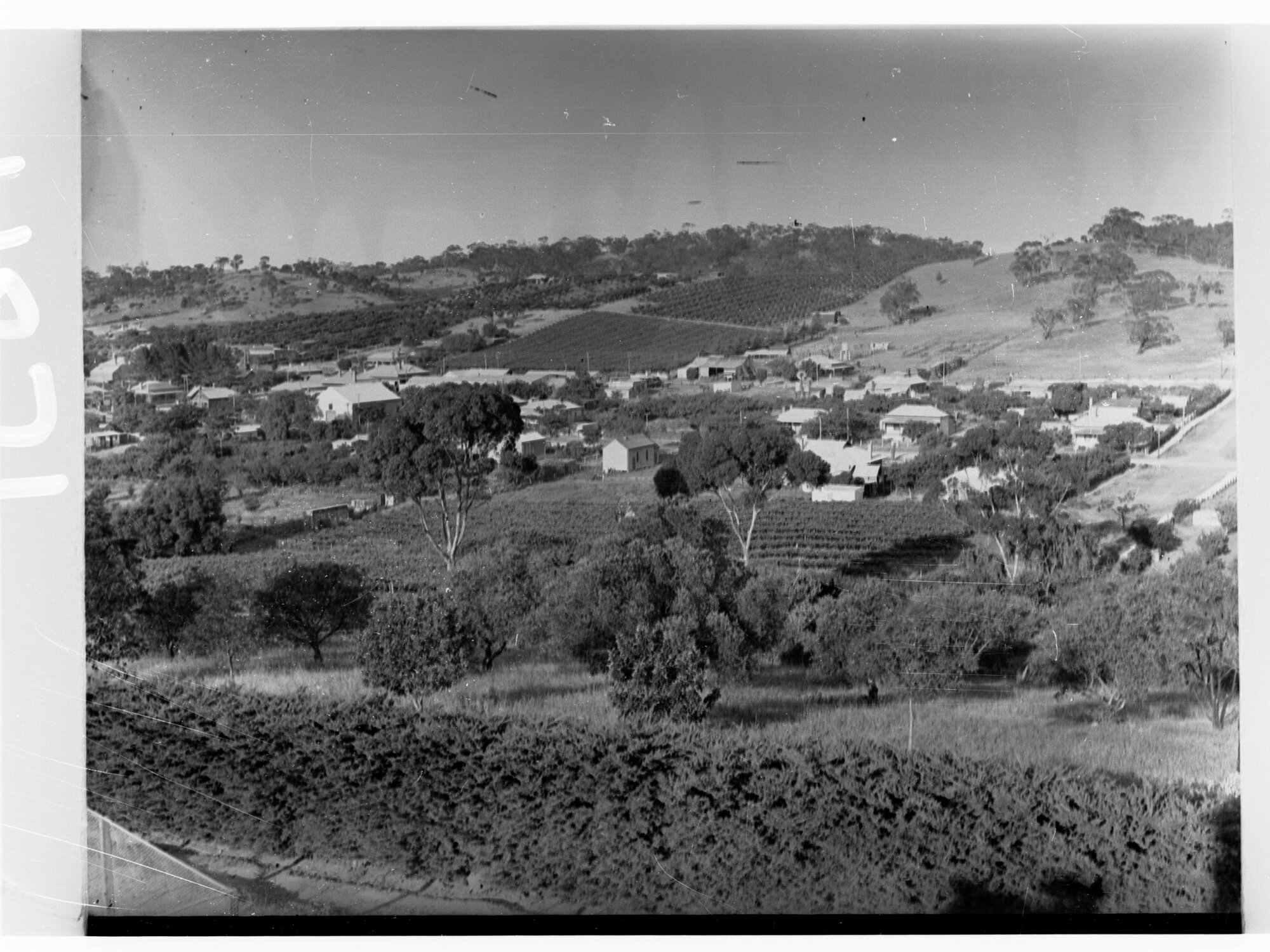 Rural Scene of Township