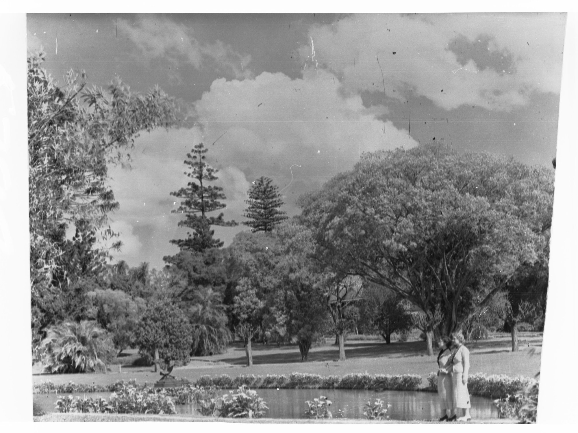 Botanic Garden