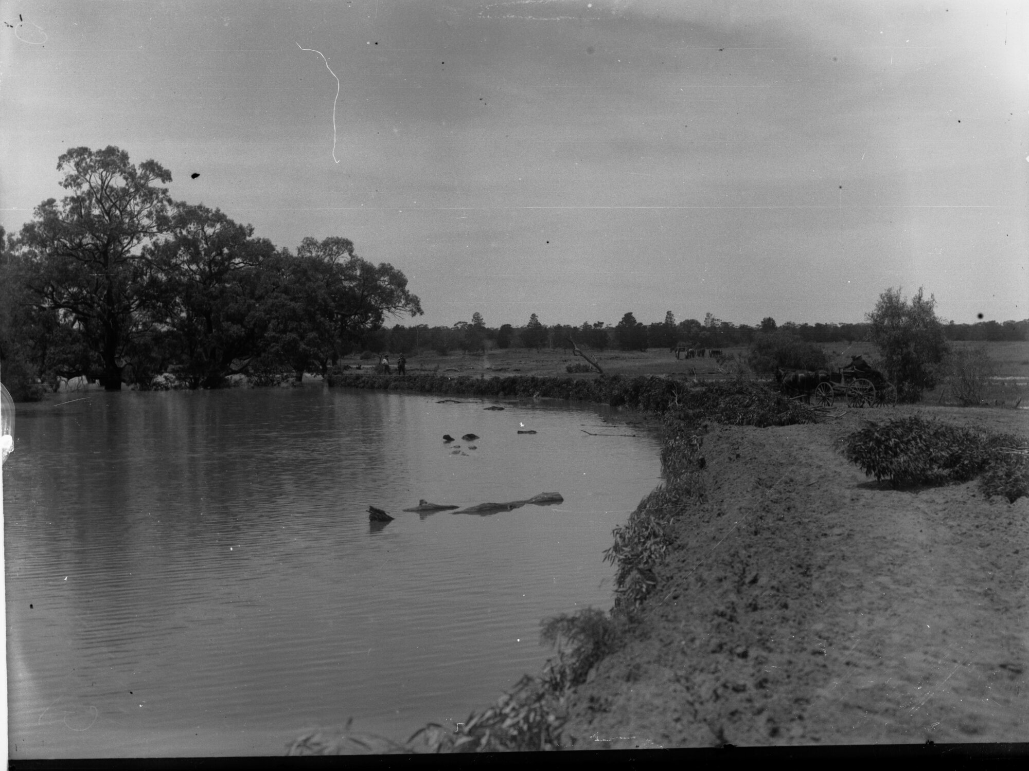 Protection bank new era River Murray