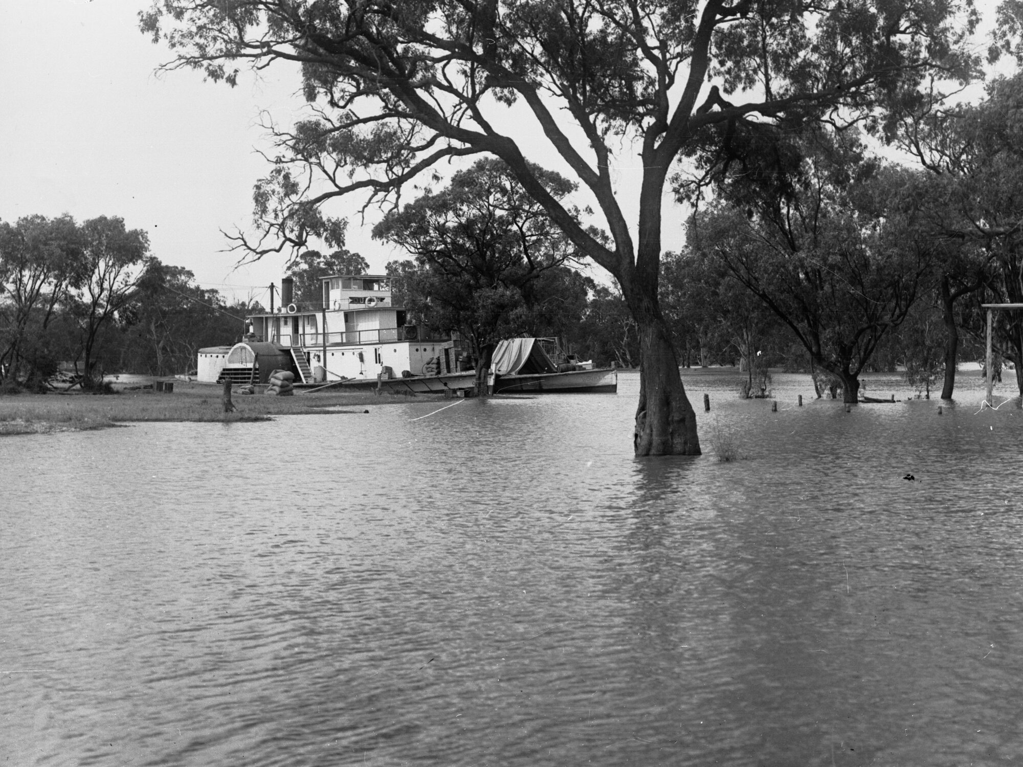 SS Queen Paddlesteamer at Moorook Landing Murray River