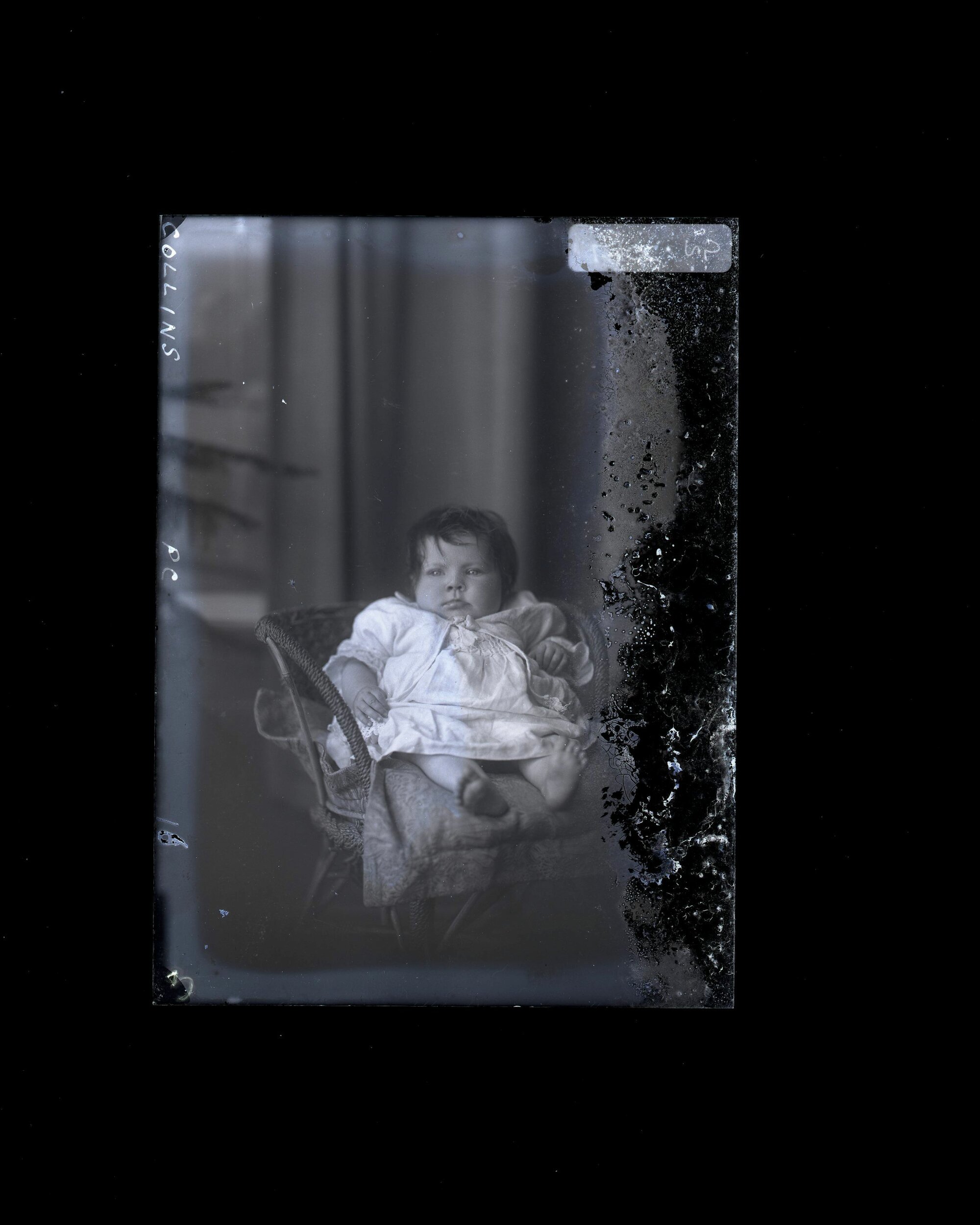 Infant - Collins