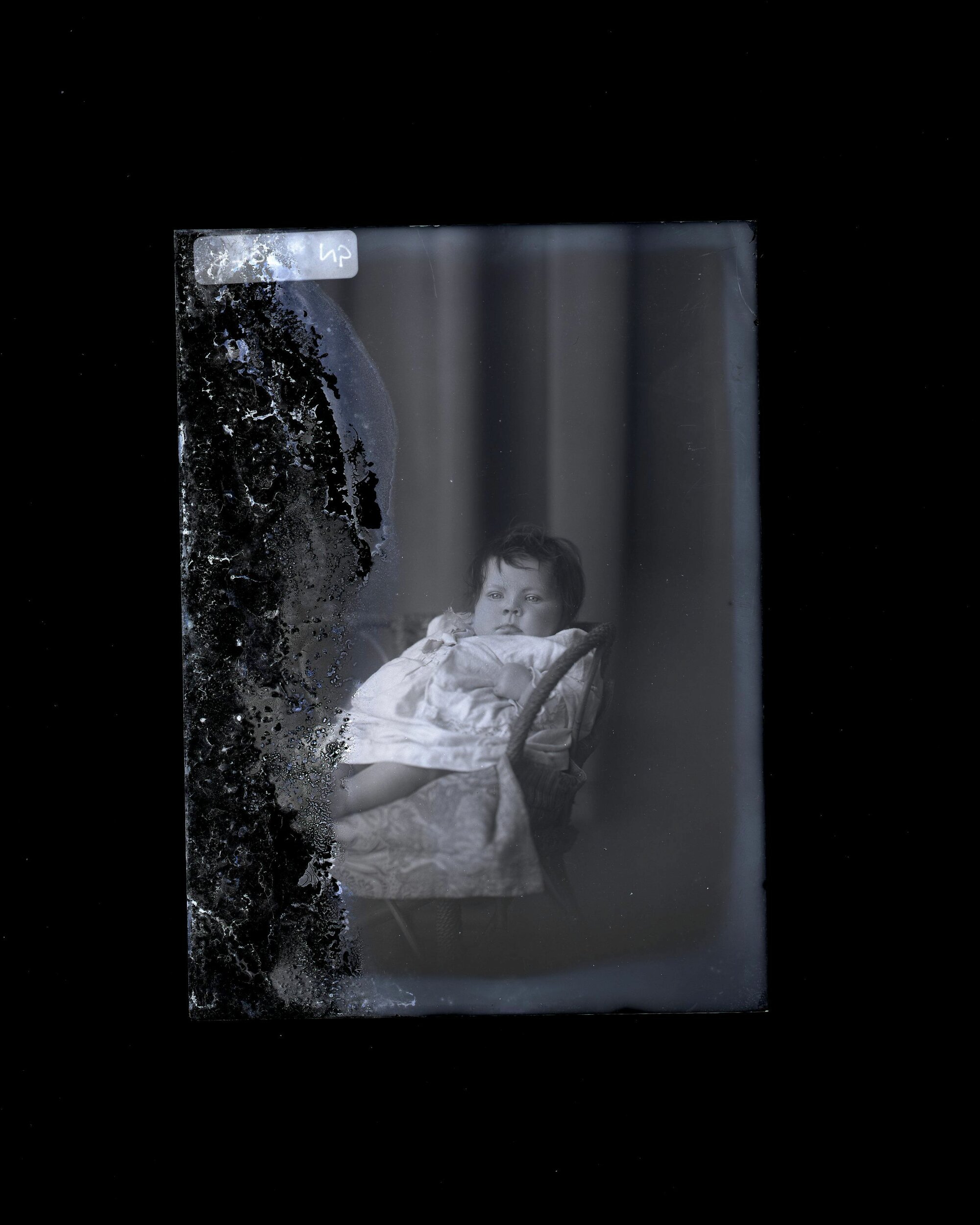 Infant - Collins