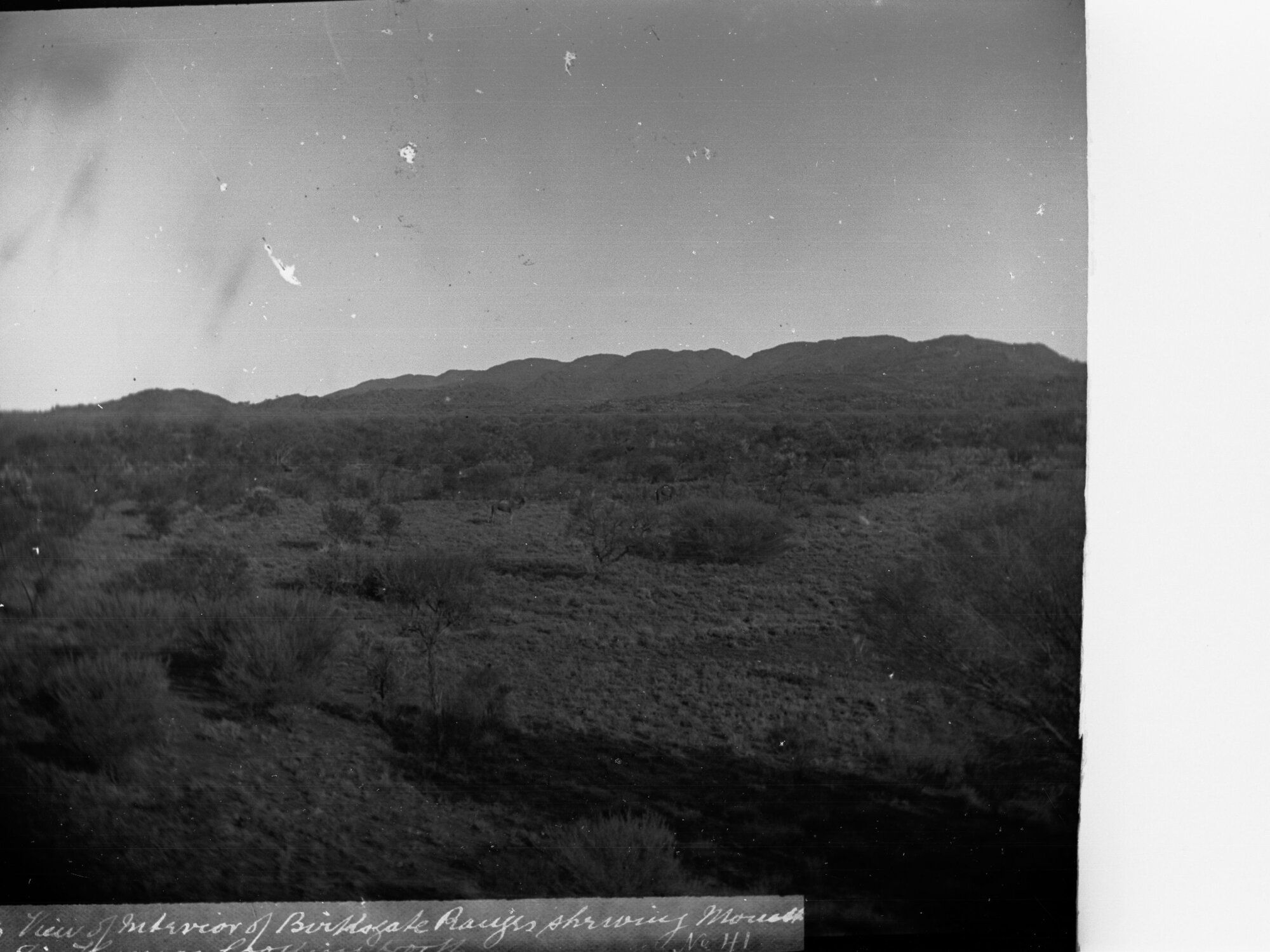 Birksgate Ranges Showing Mount St Thomas Elder Scientific Expedition