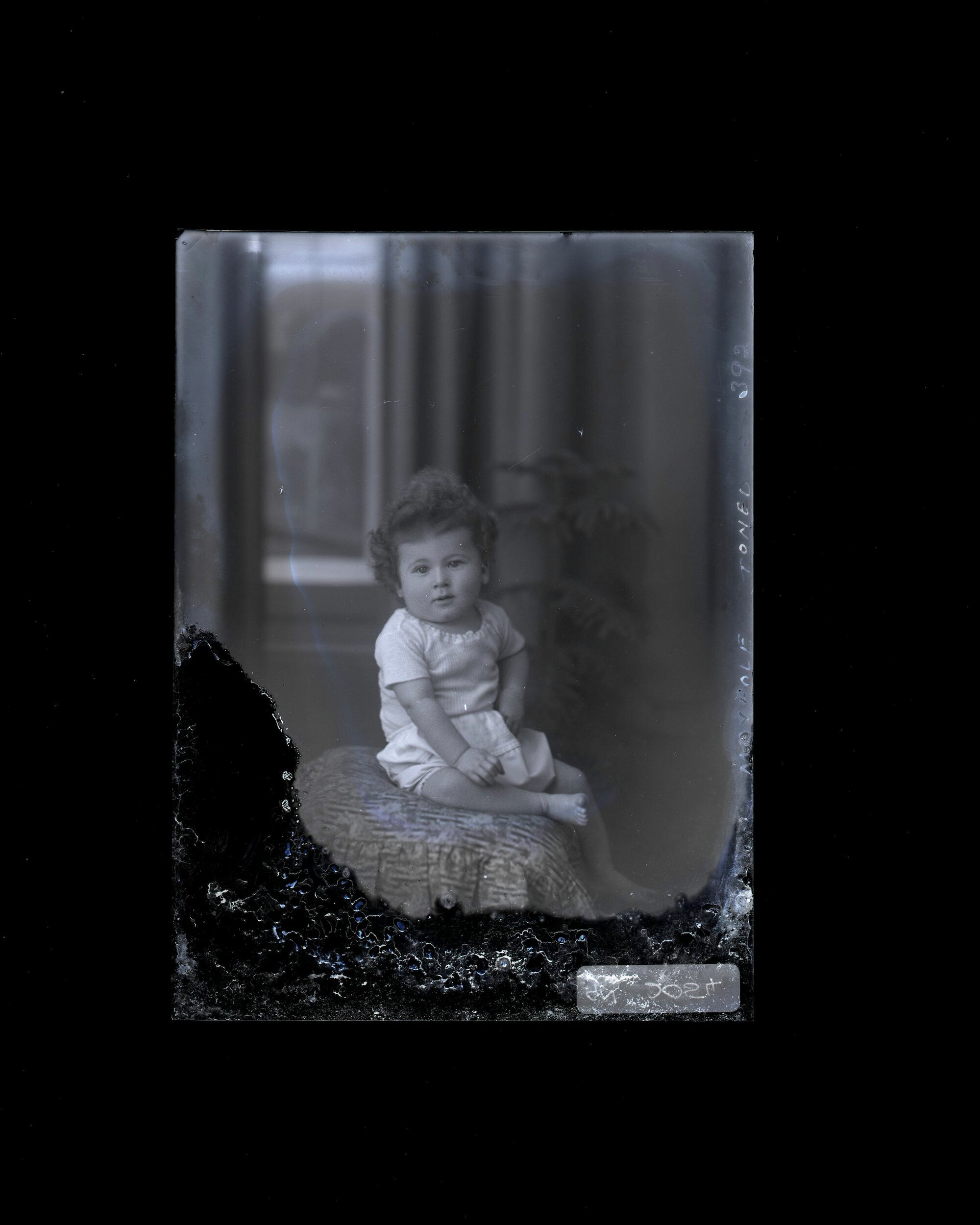 Toddler - Maypole