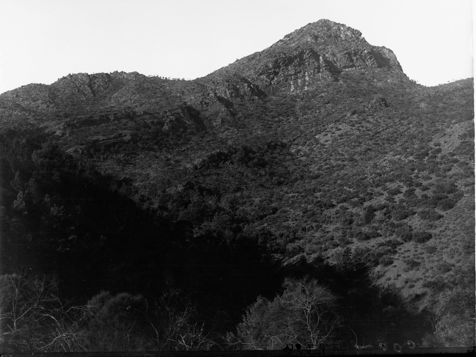 Mount Patawurta, Flinders Ranges