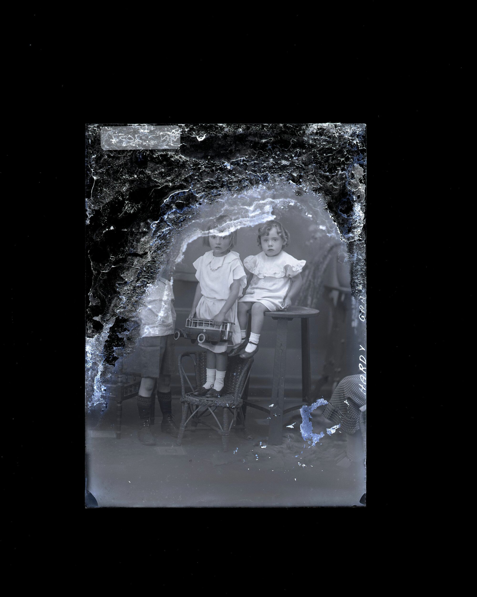 Children - Hardy