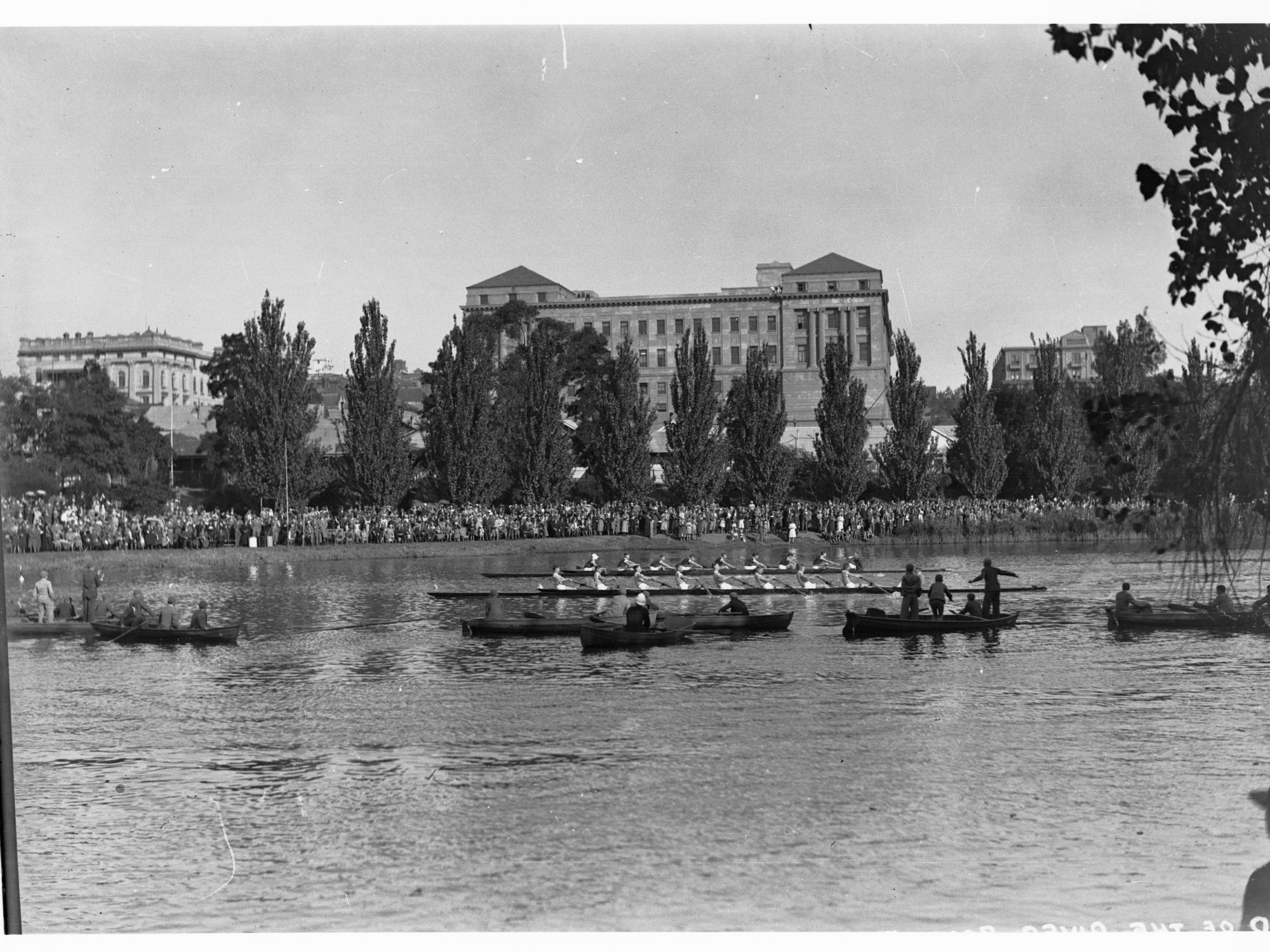 Boat race, River Torrens