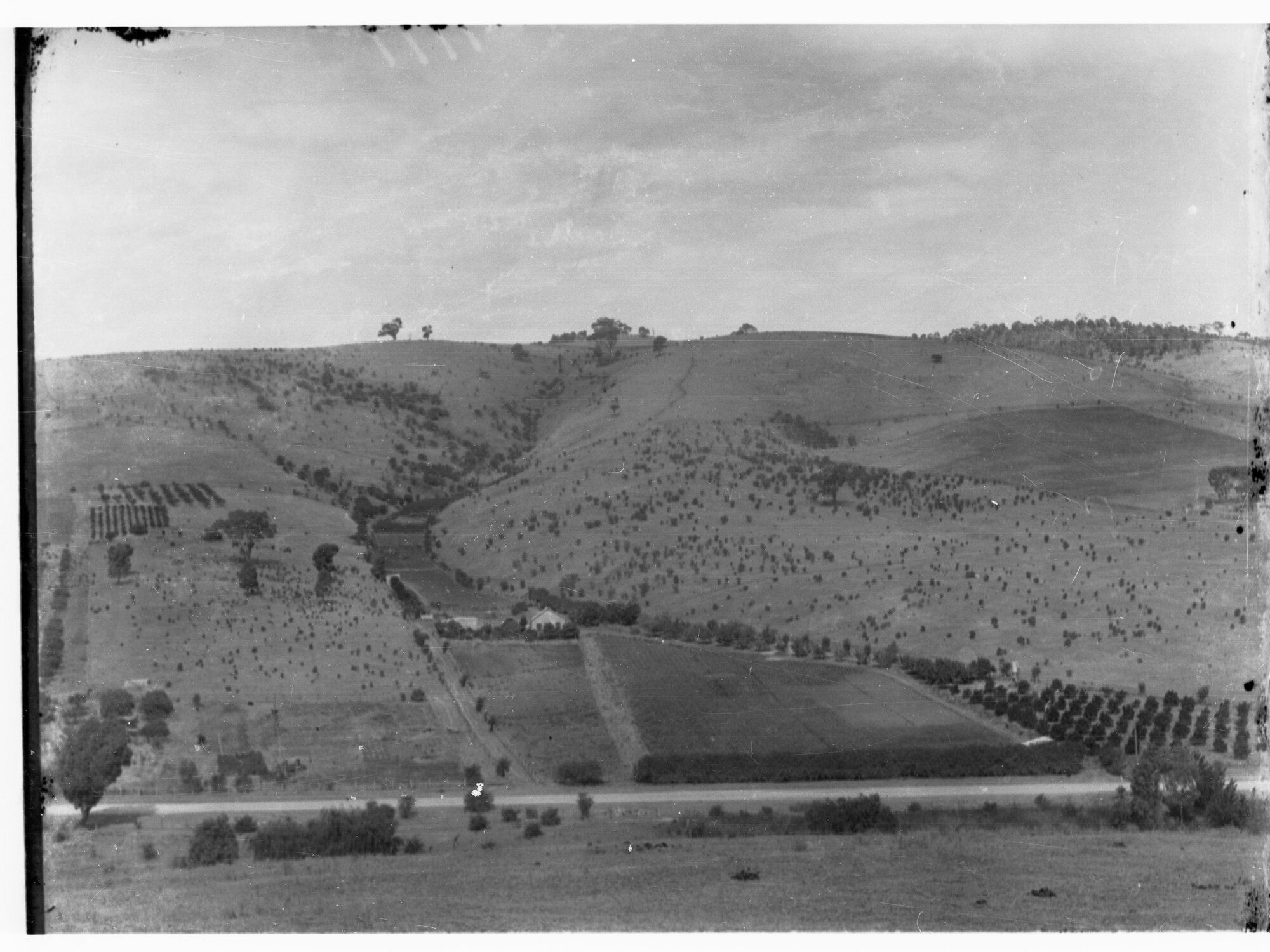 Farm at Coromandel Valley