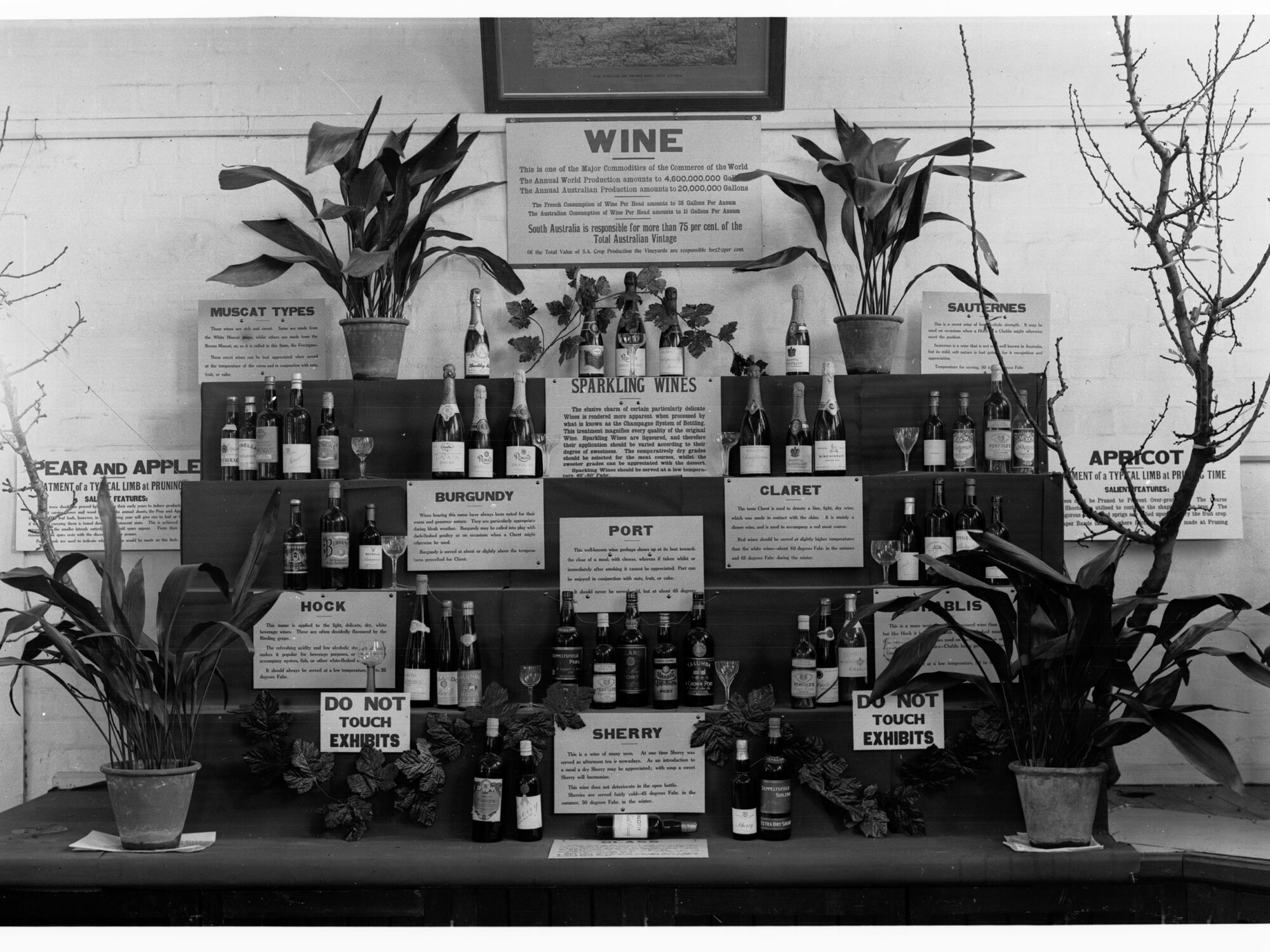 Royal Adelaide Show, Wine Display