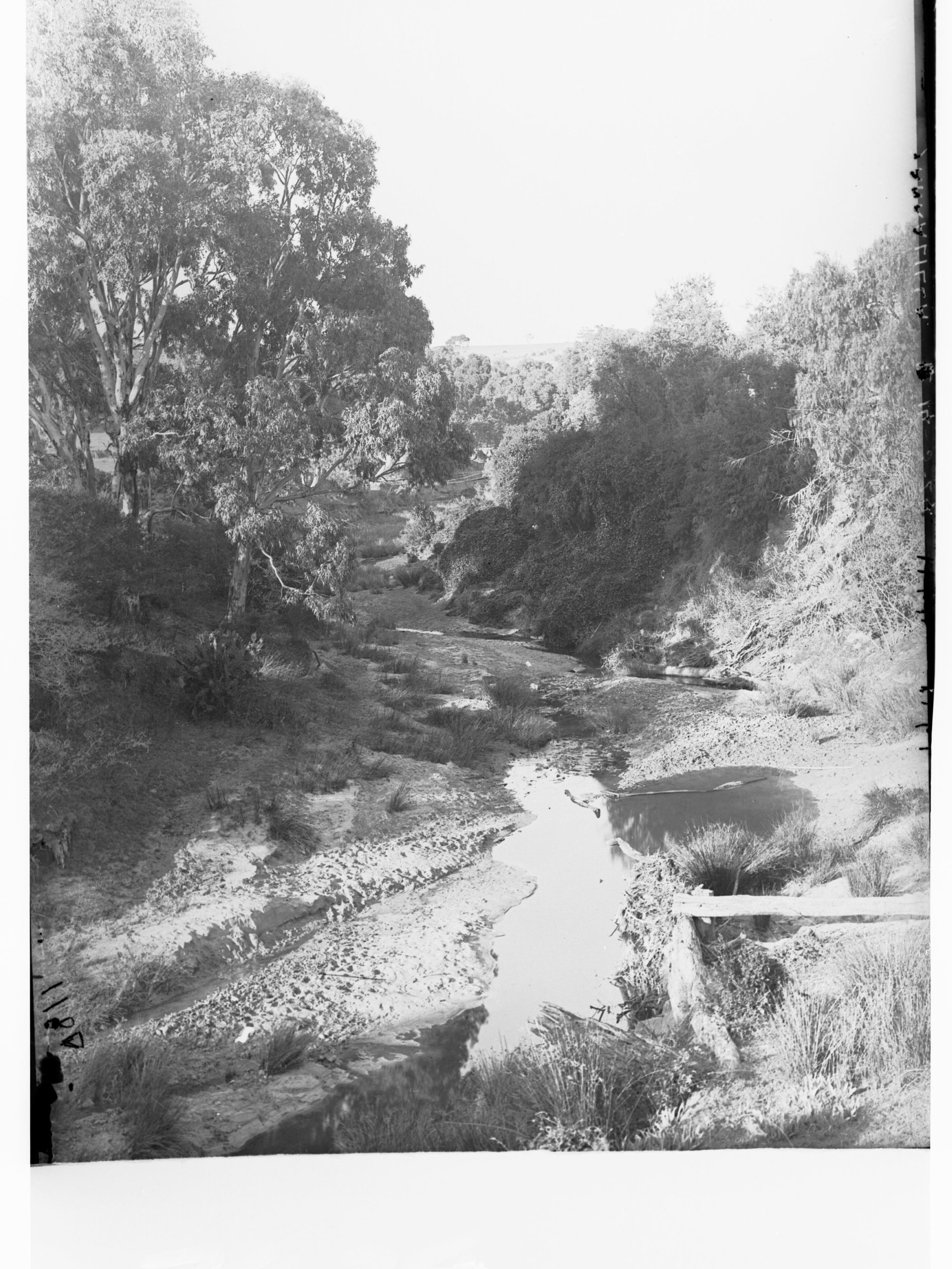 Creek and Bush Around Yankalilla