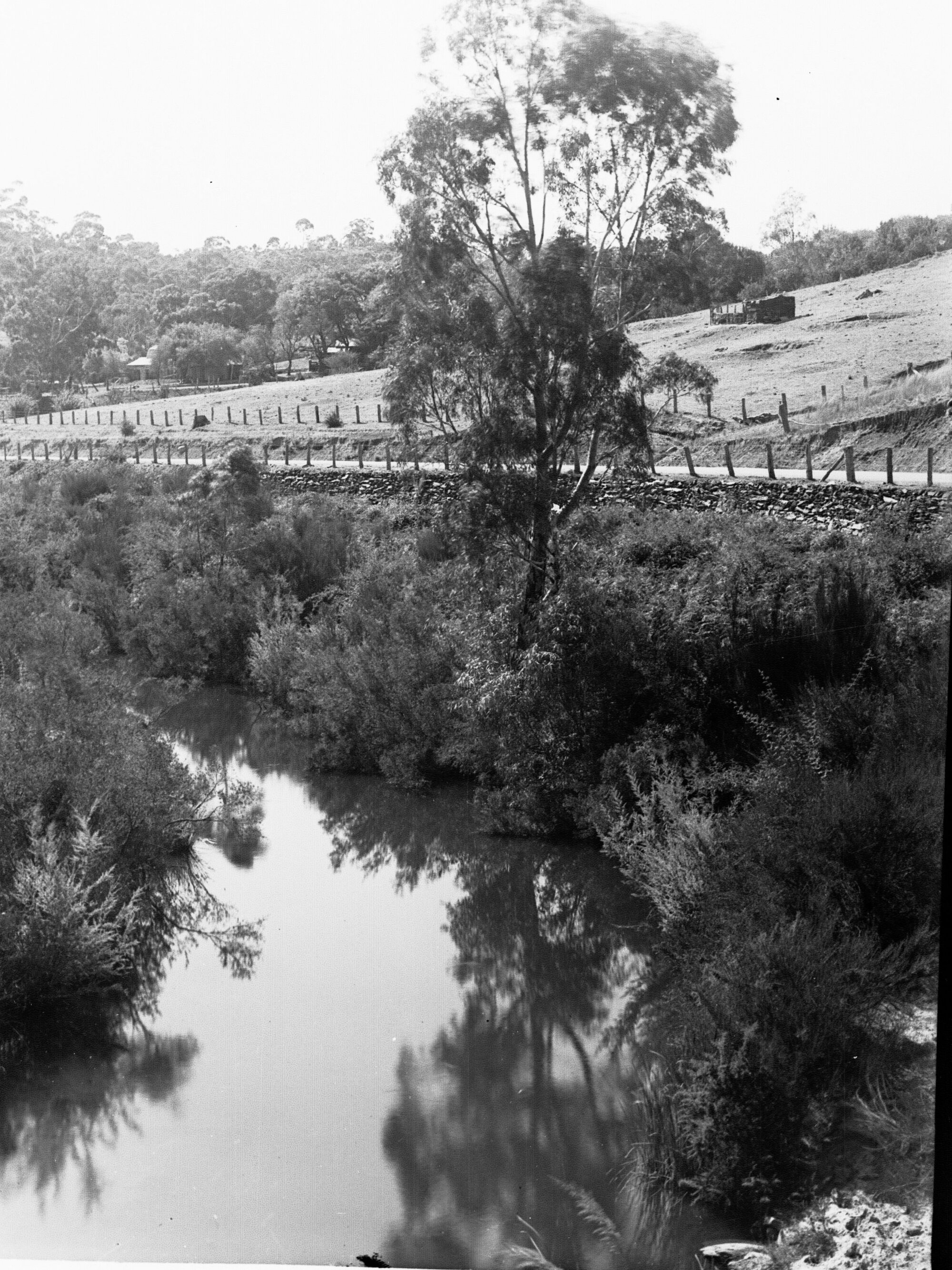 Torrens Gorge