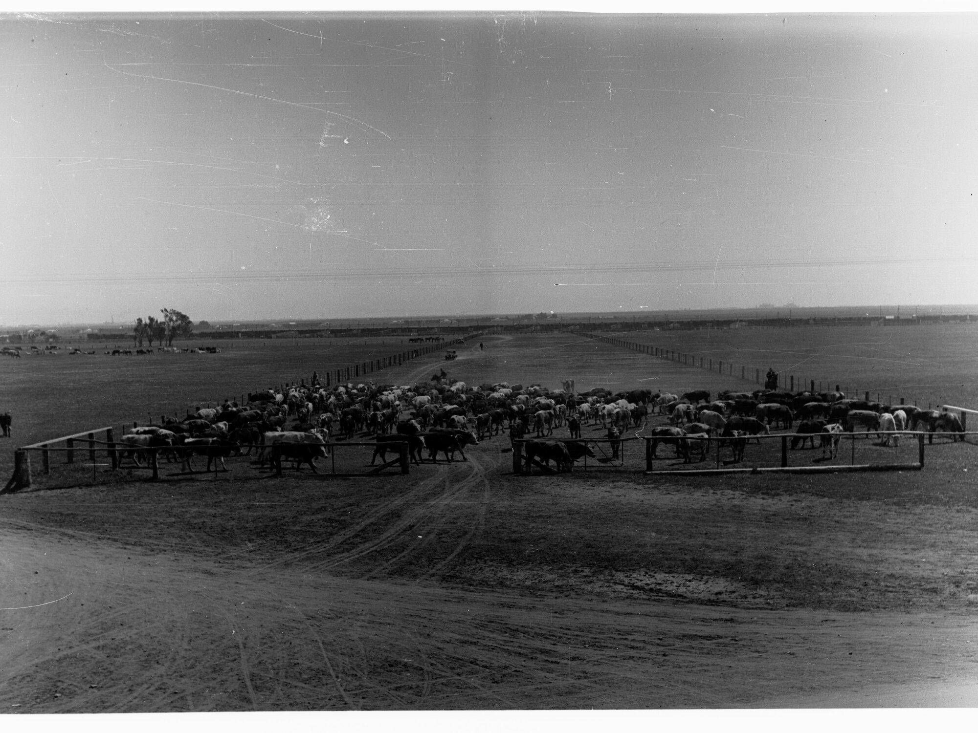 Stockyards at Dry Creek