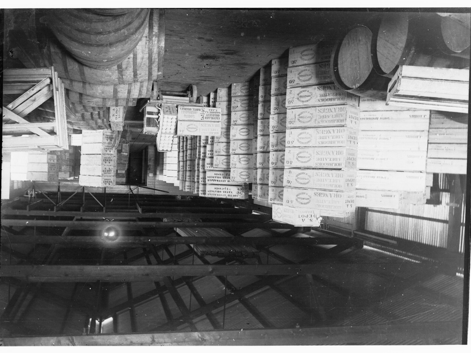 Oranges packed for export at Port Adelaide