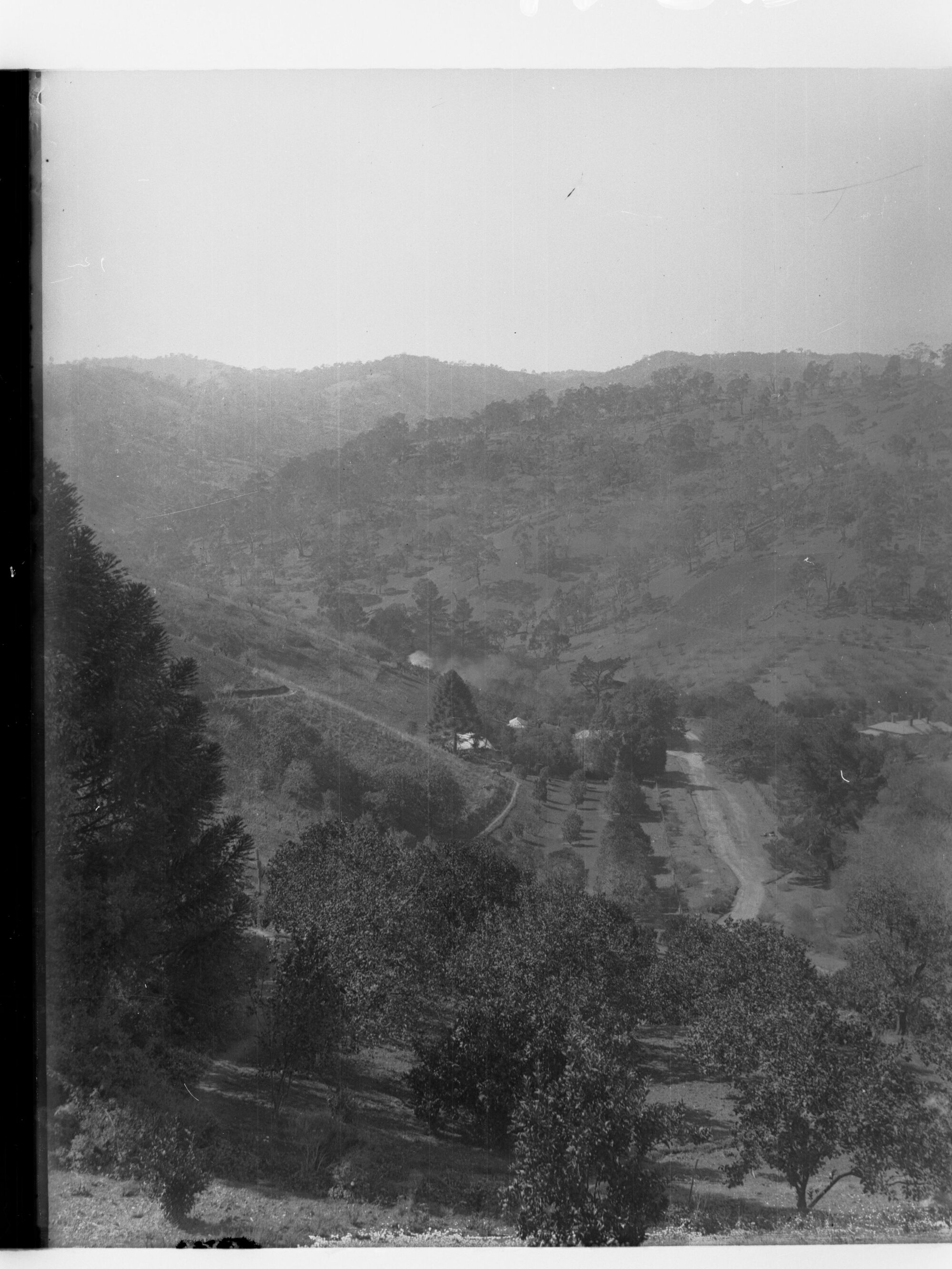 Orange Vale', Corkscrew Road, Montacute