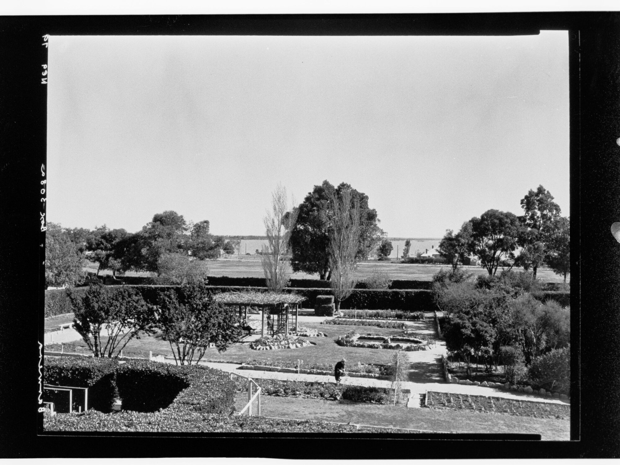 Barmera gardens