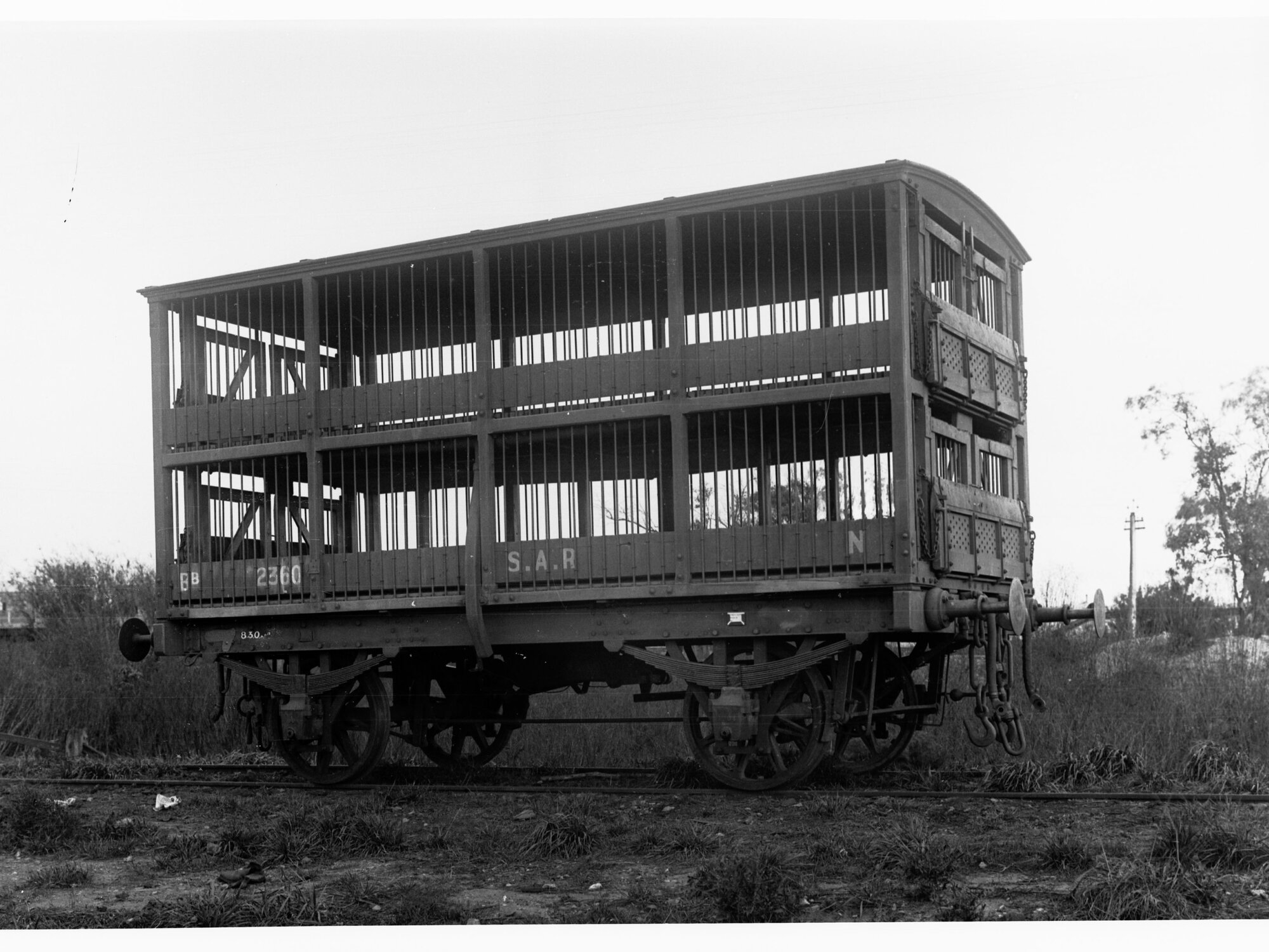 Sheep Van