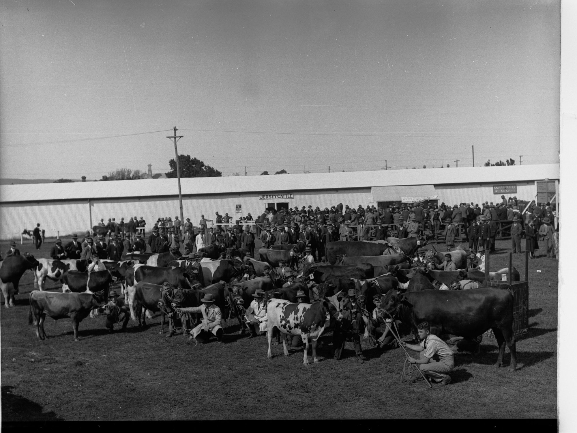 Royal Adelaide Show, c. 1930s