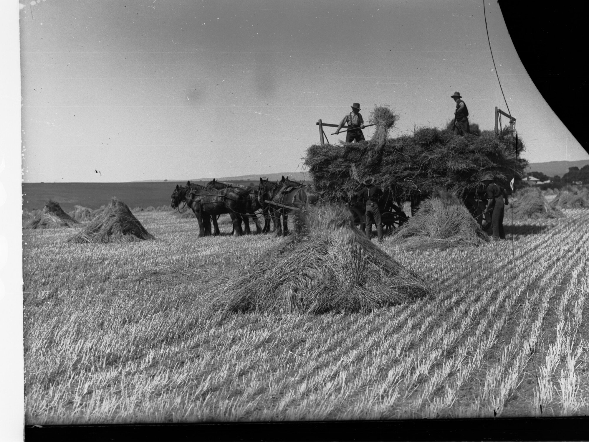 Aldinga Carting Hay