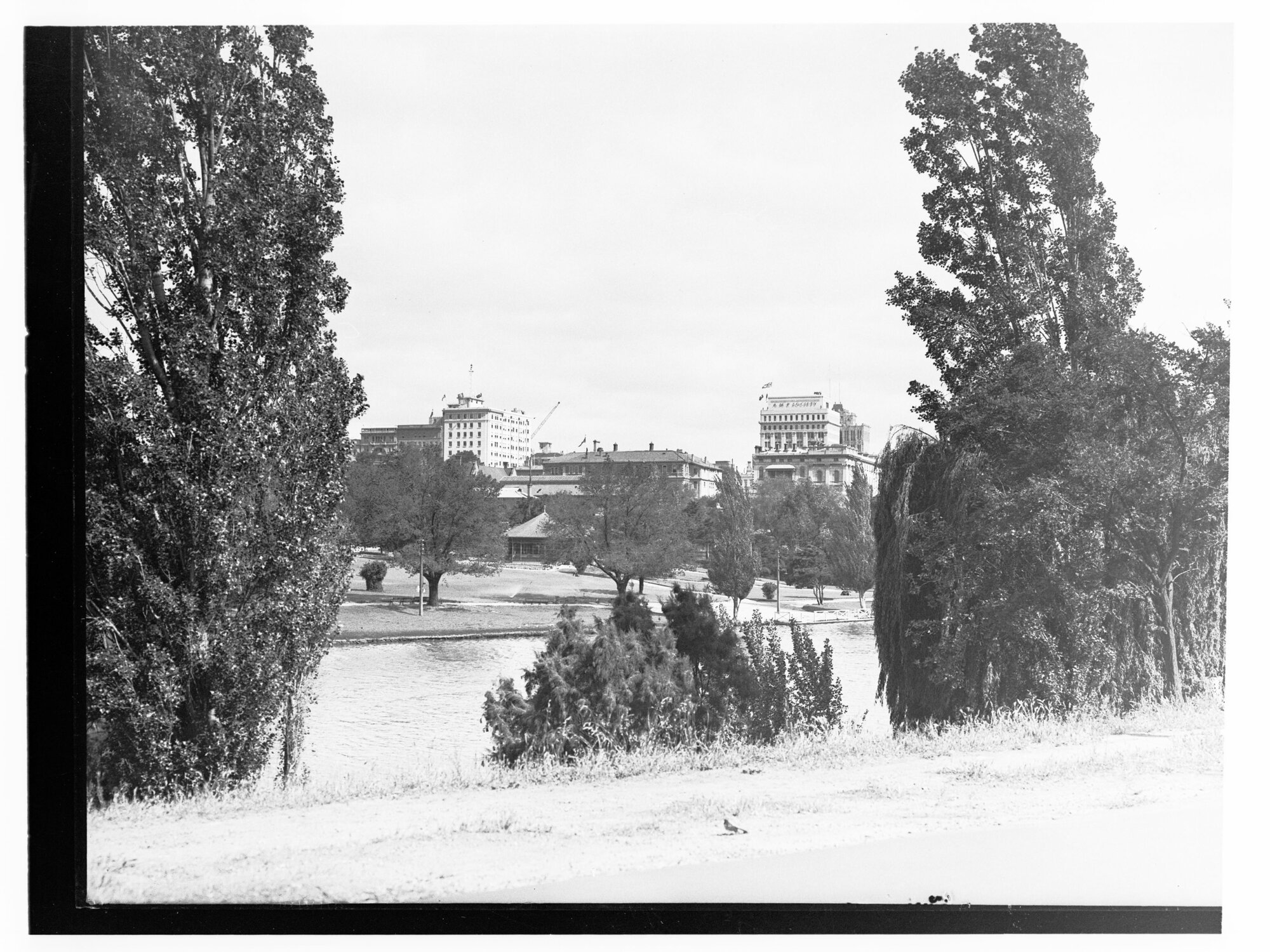 Adelaide from northern bank of River Torrens