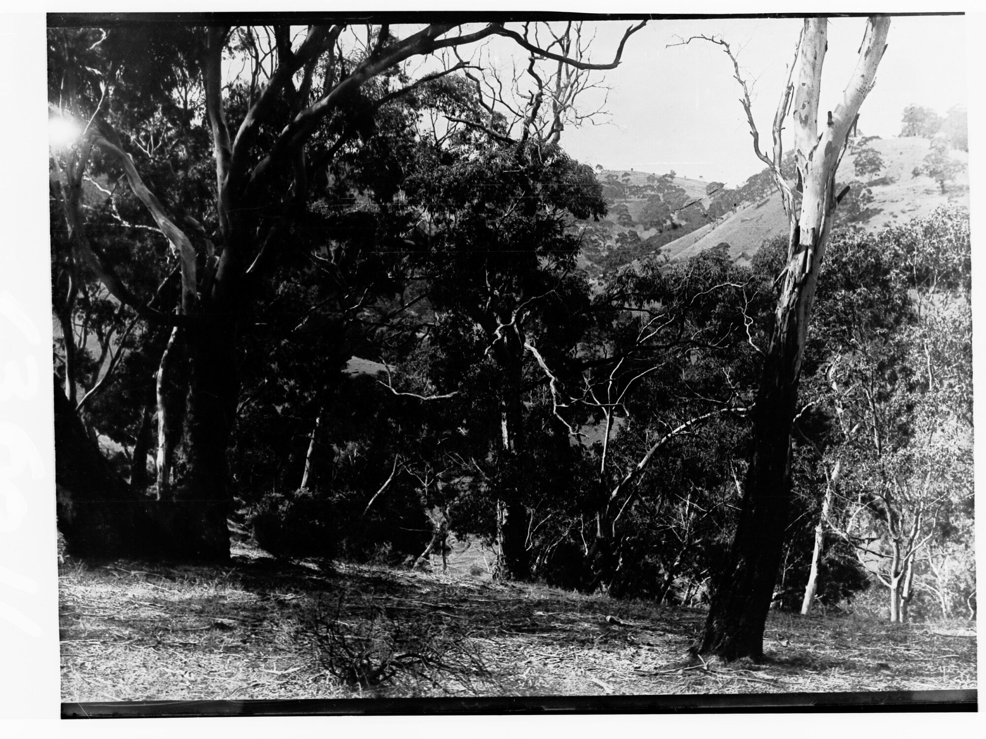 View overlooking Somerton Park Township