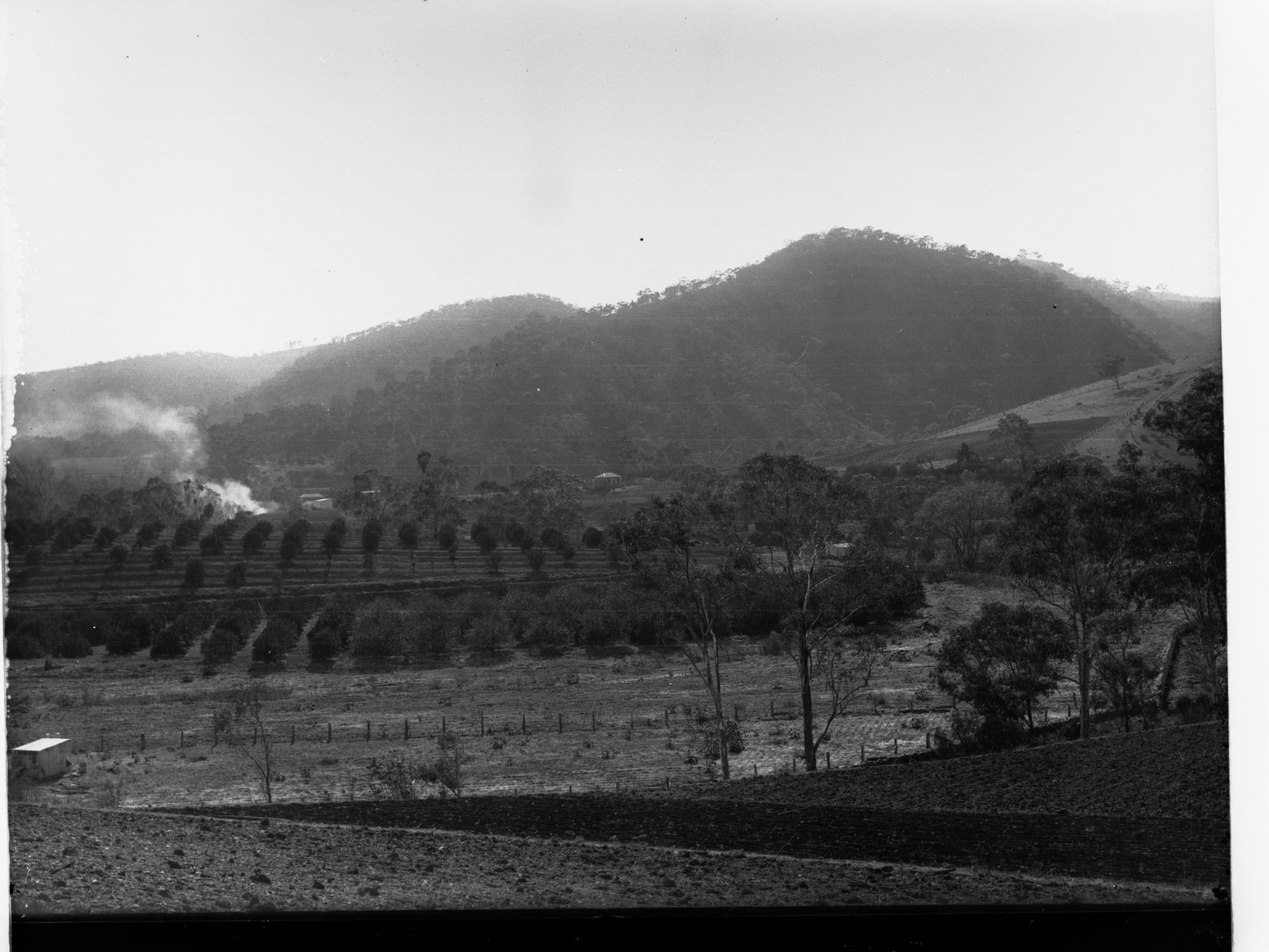Torrens Gorge from Athelstone