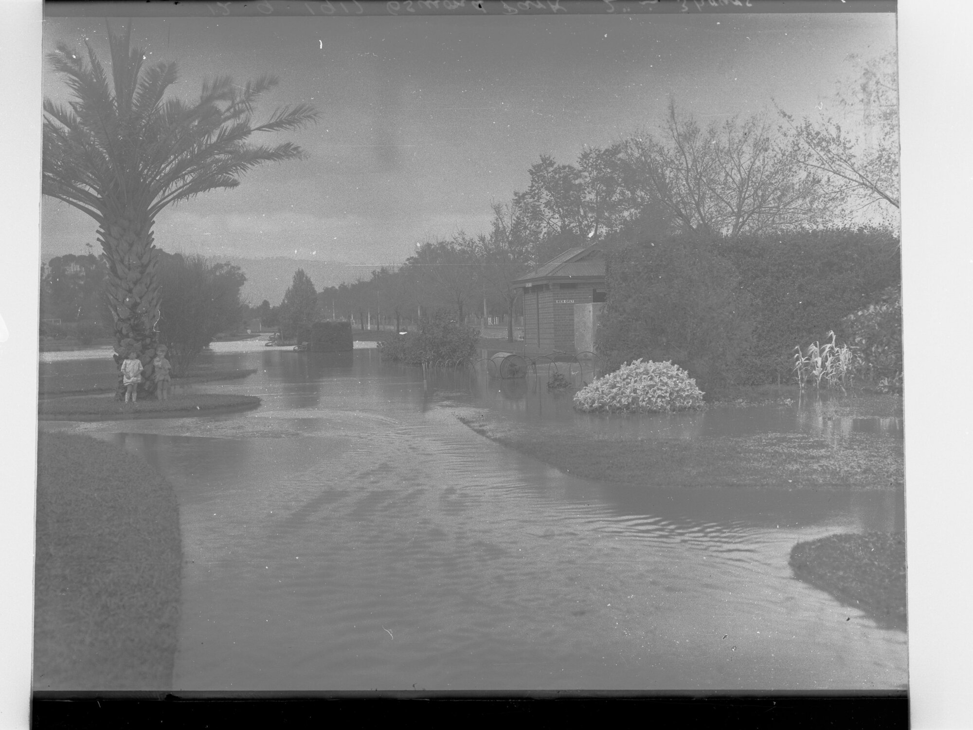 Flooding in Osmond Park, Adelaide 1917 