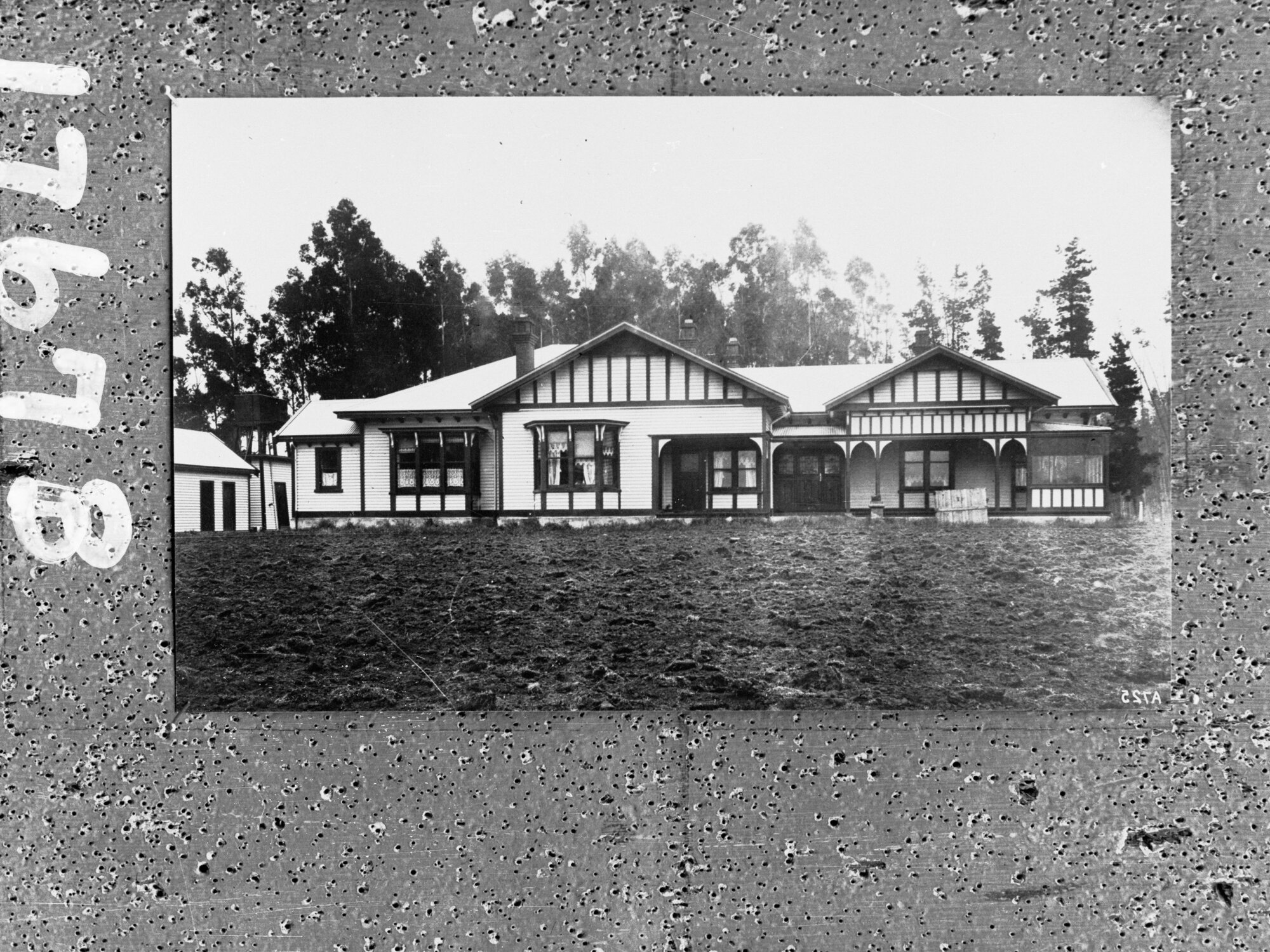 Housing and pine trees in background on farm