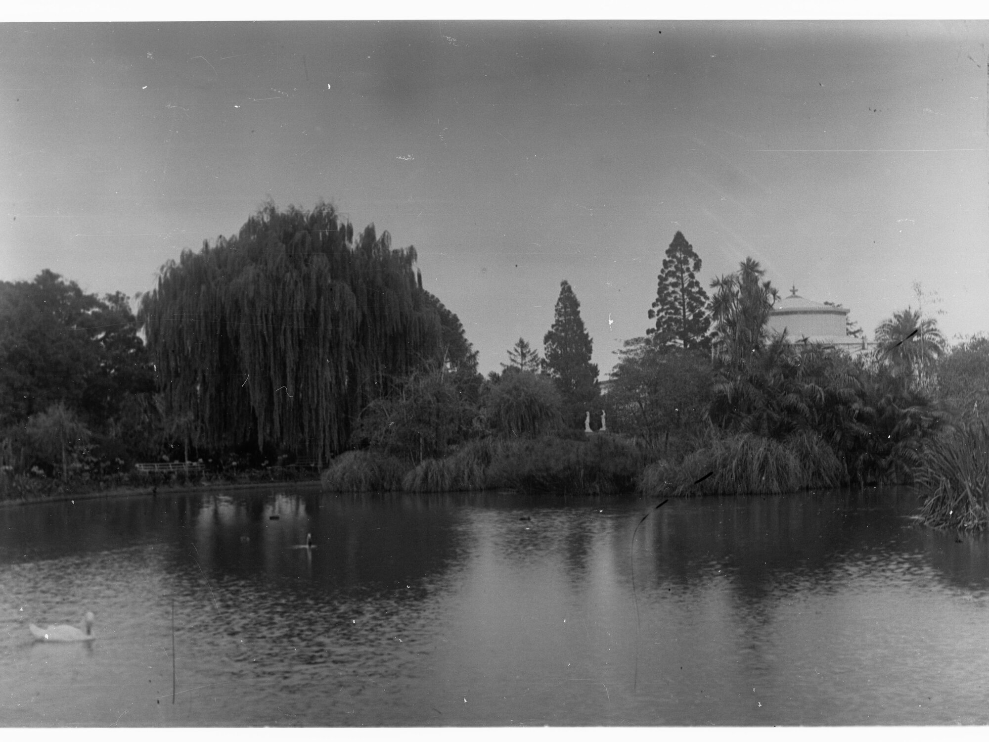 Pond in Botanic Gardens