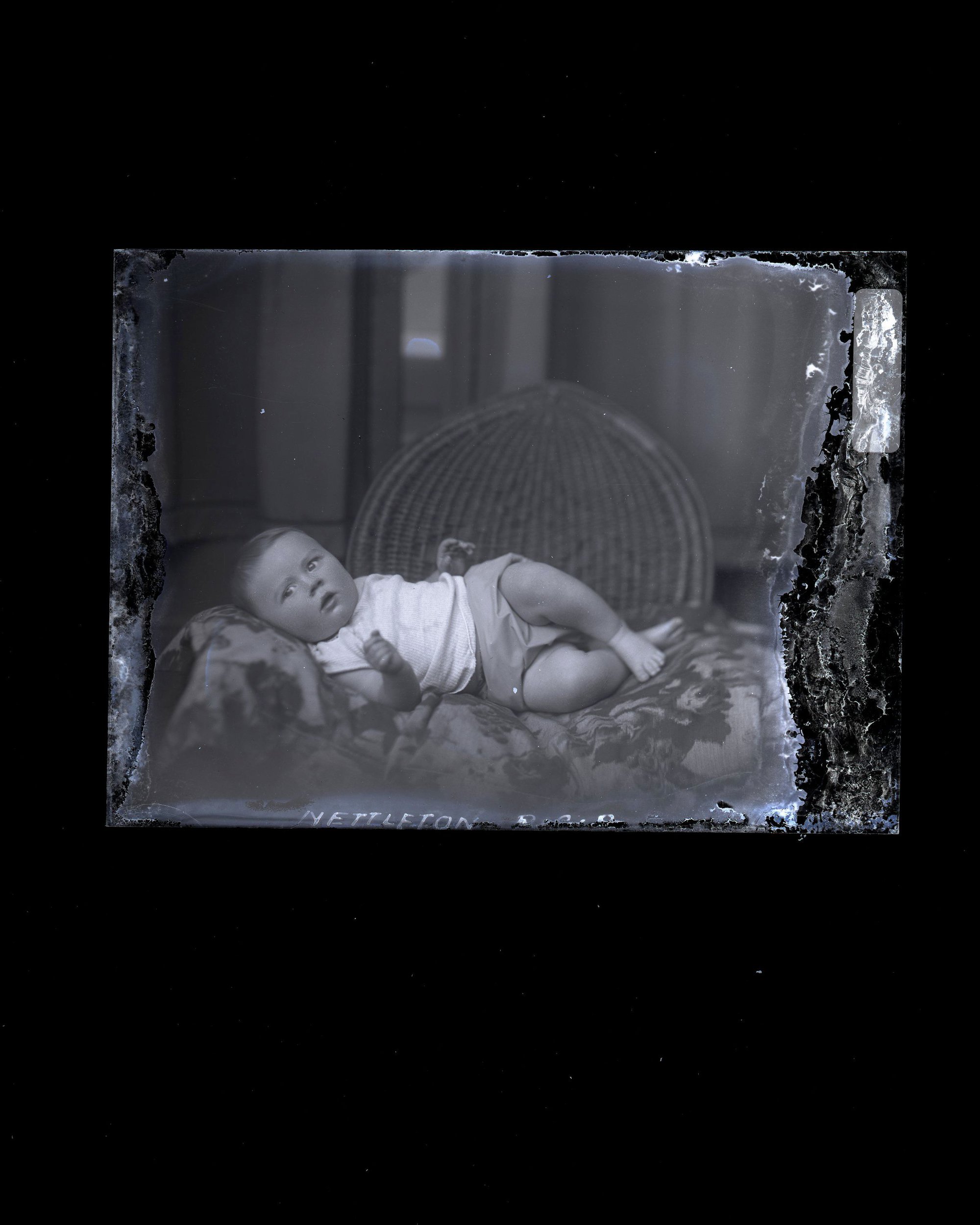 Infant - Nettleton