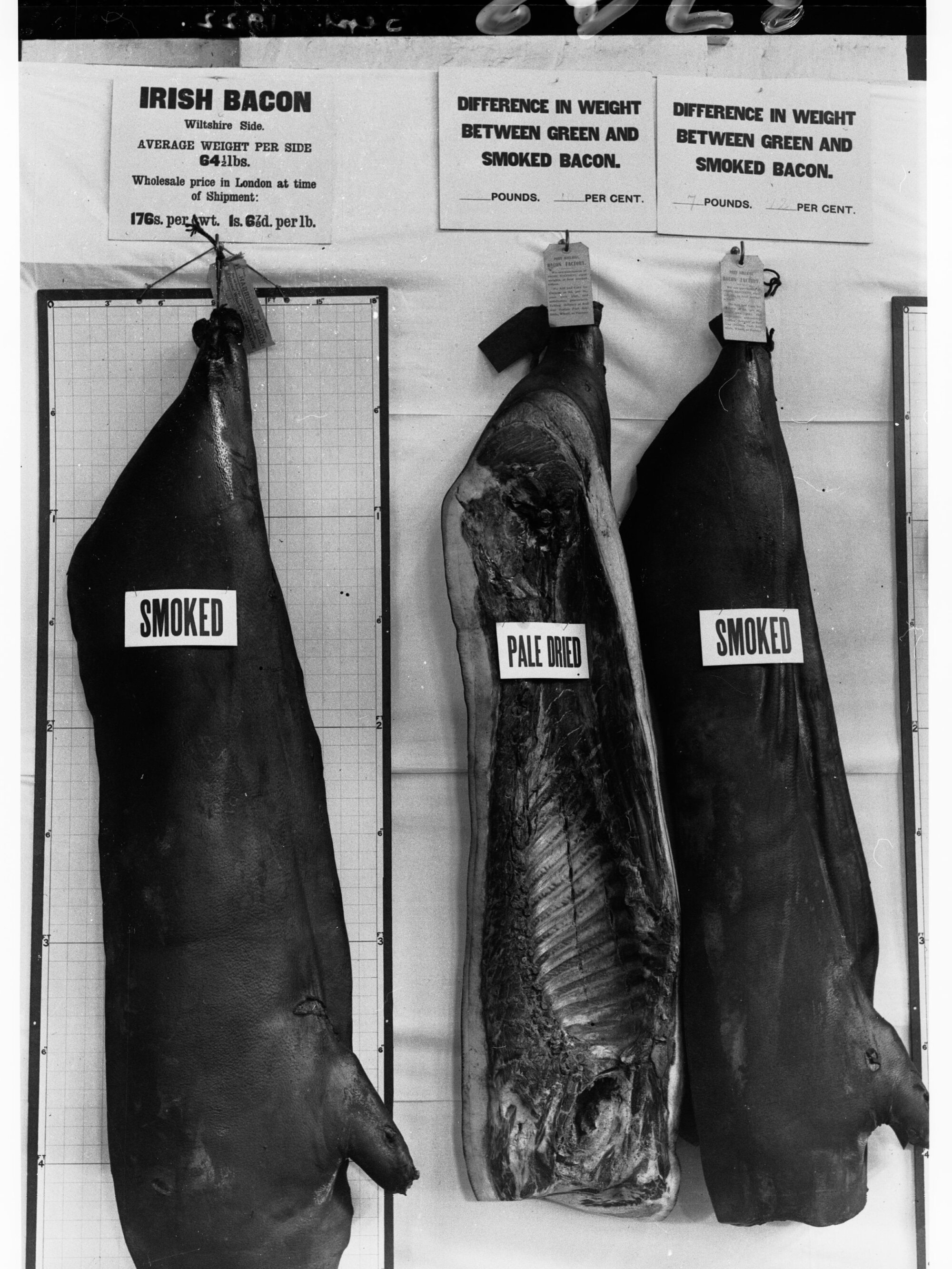 Royal Adelaide Show,`c. 1920s
