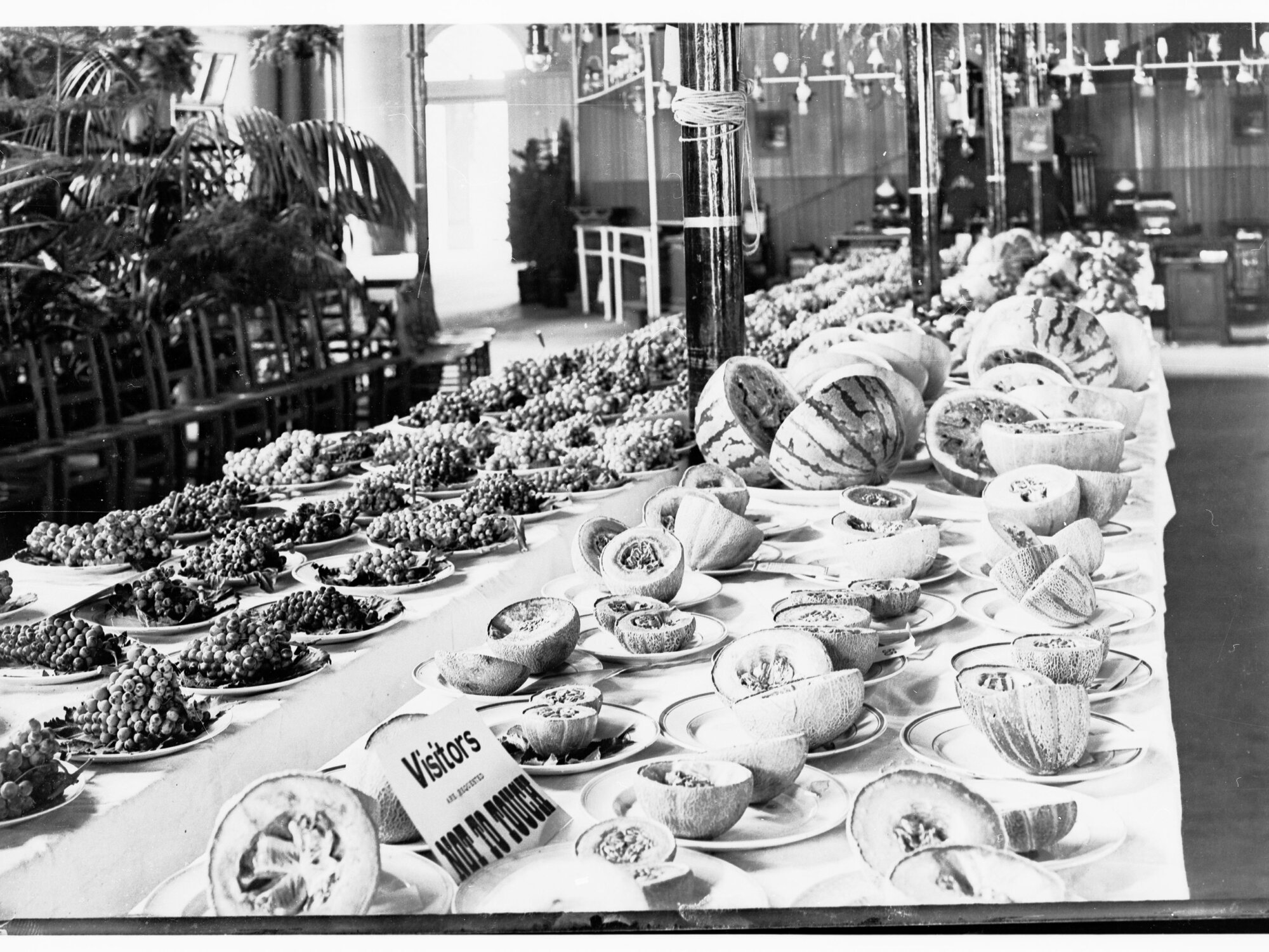 Exhibition of fruit - grapes and melons (Adelaide Show in Exhibition building)