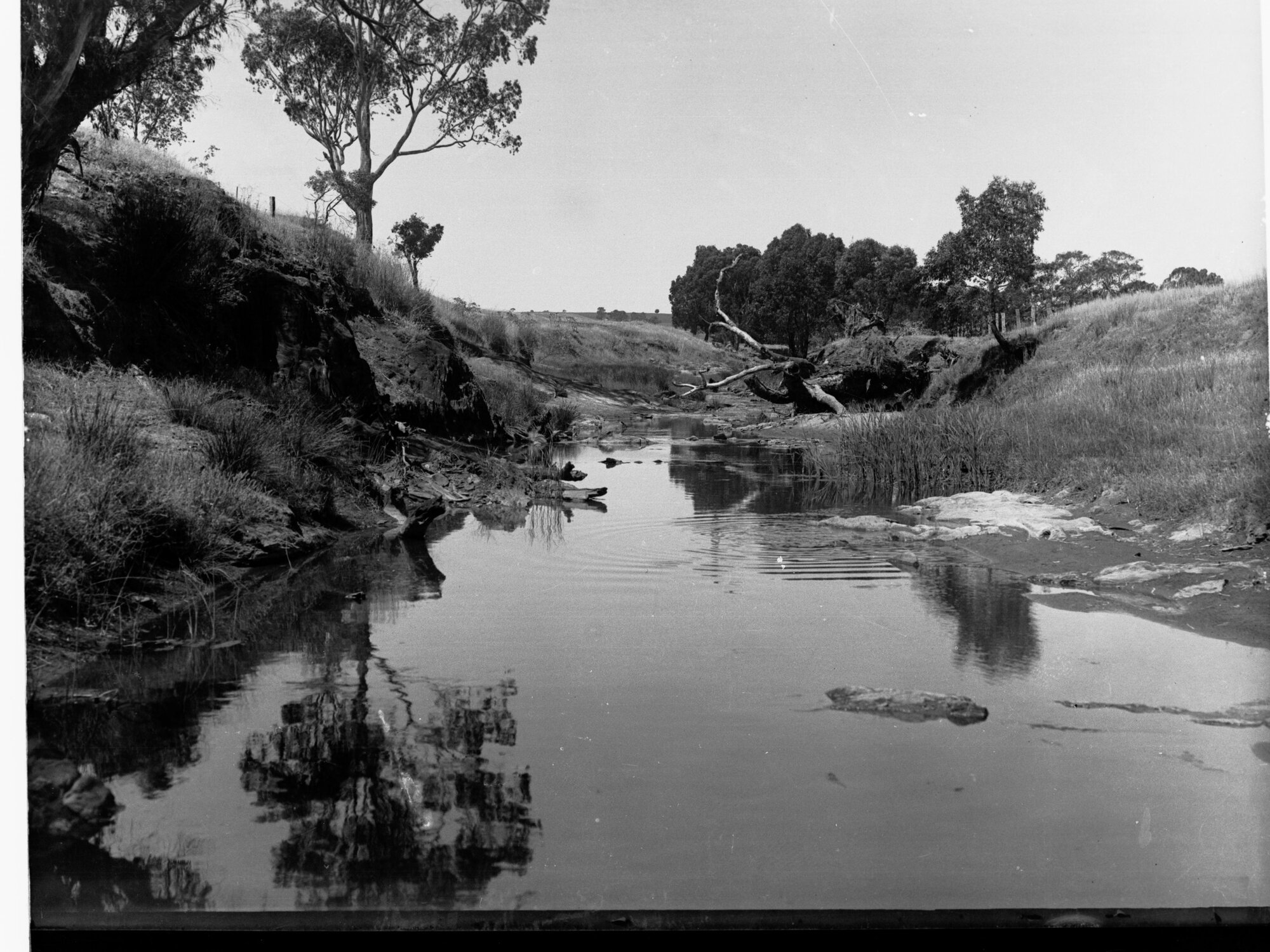 View on the North Para River