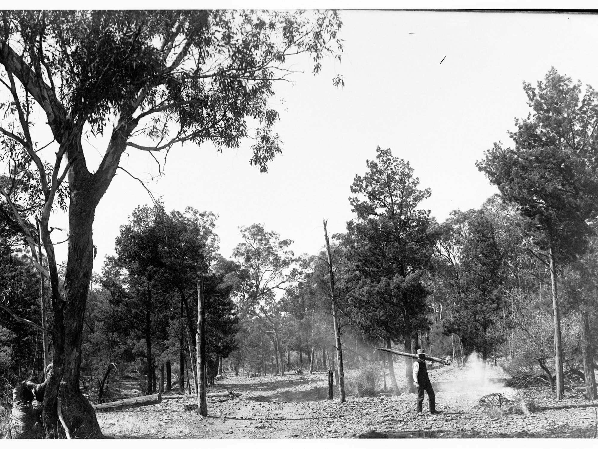 Rural view showing a man burning wood - location unknown