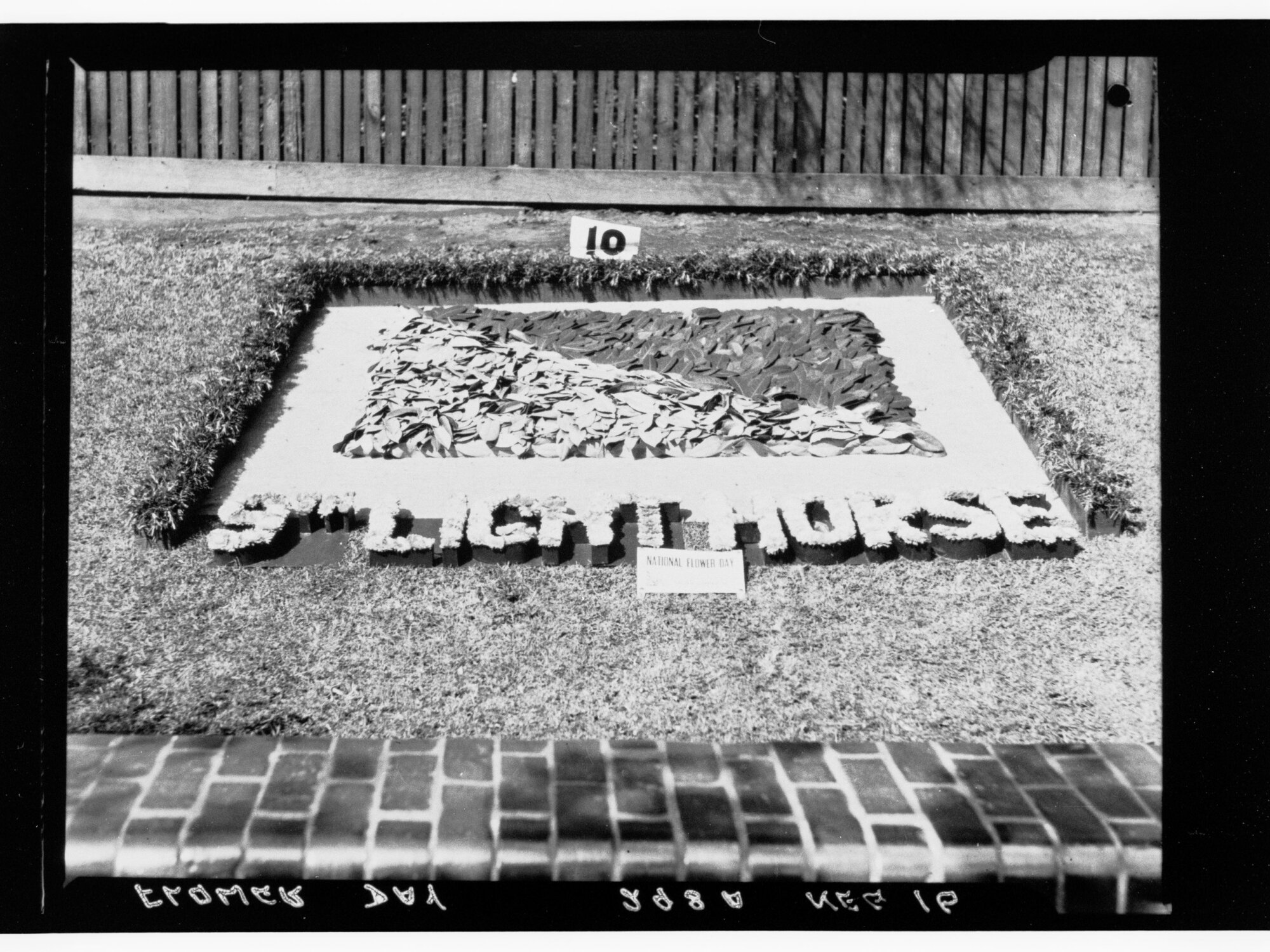 Flower Day - exhibit no. 10 (9th Light Horse)