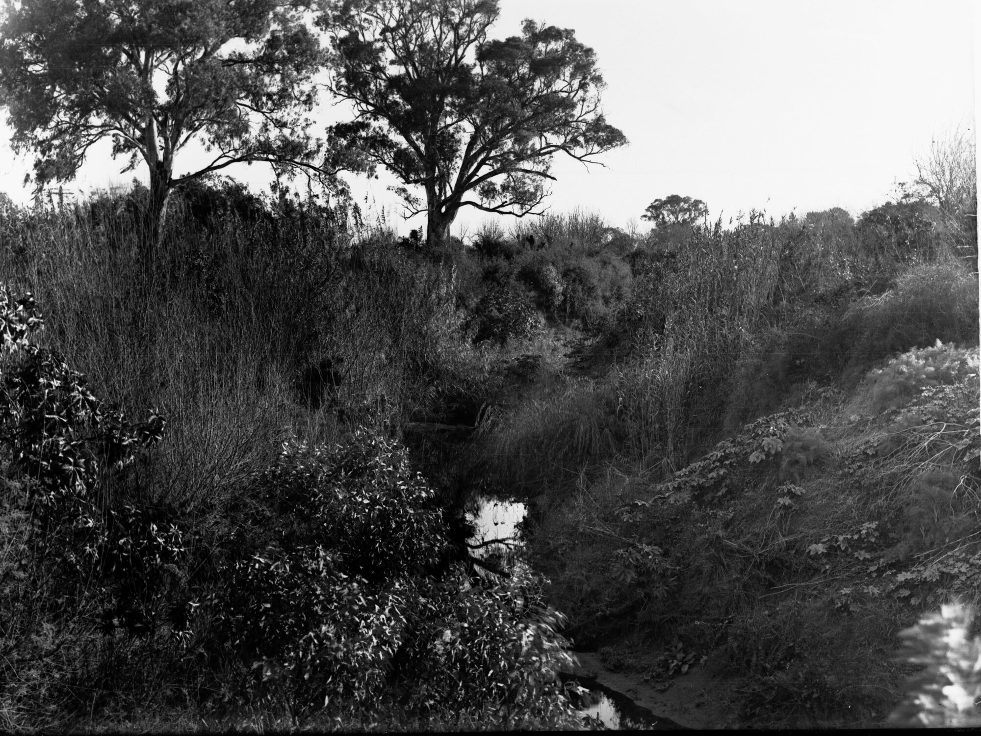 Torrens floodwater scheme