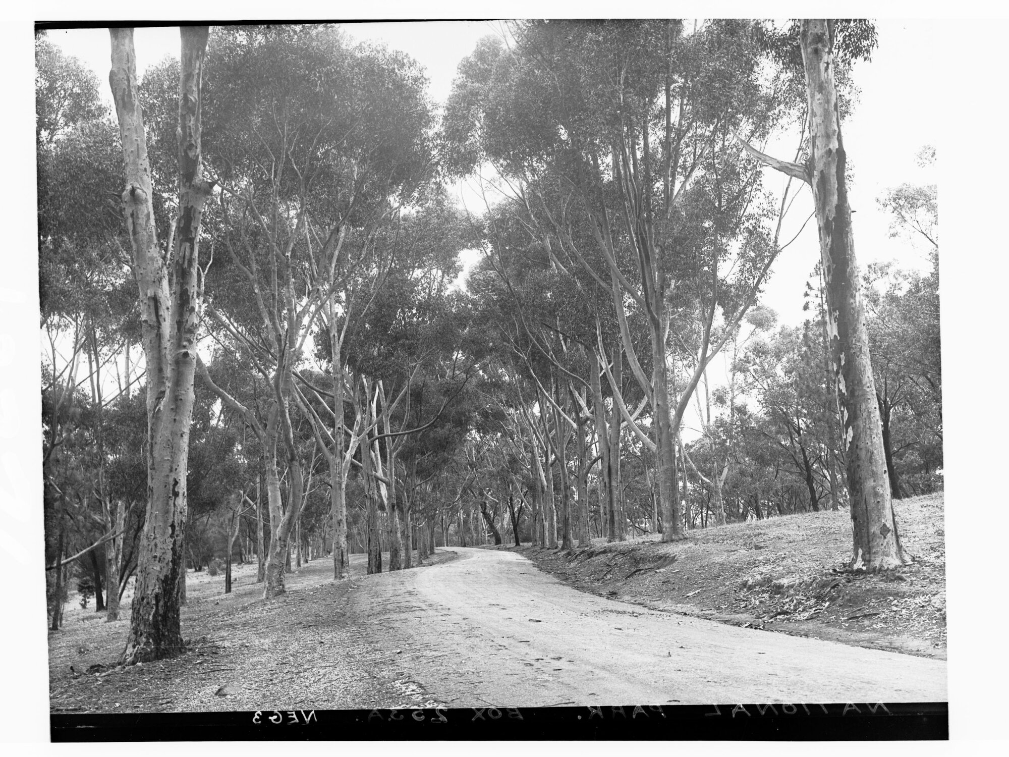 Belair National Park