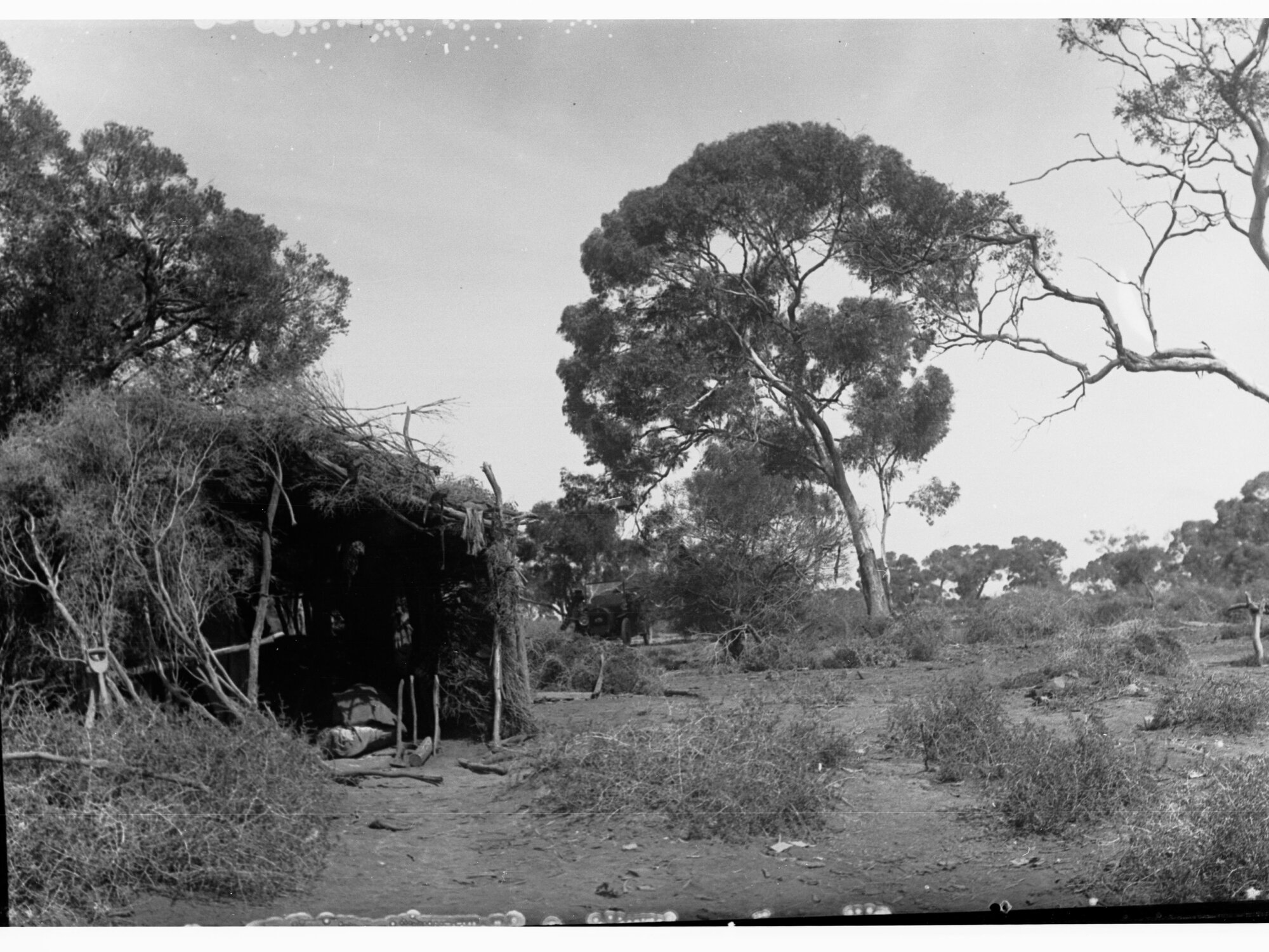 Bushman's Camp - Far North showing hut made from natural vegetation