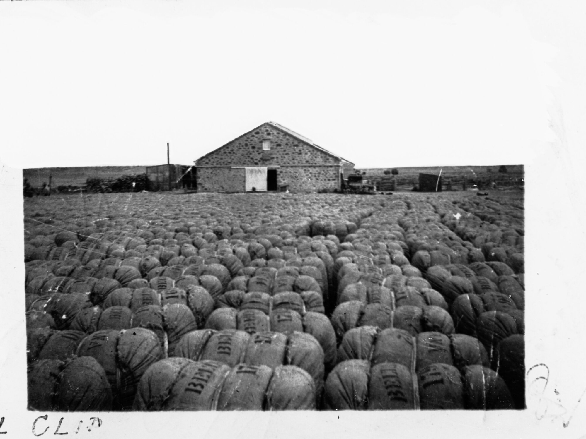Bales of wool (Bales are marked Beltana)